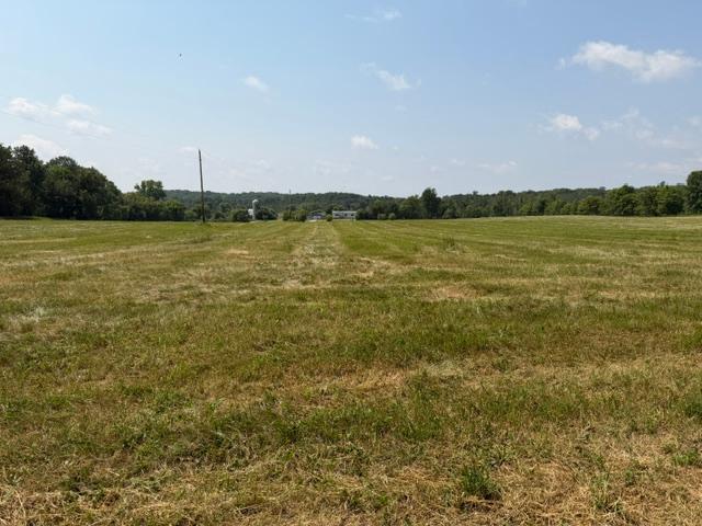 1924 land for sale at 40328 Long Lake Road in Richville, MN (photo 23 of 31)