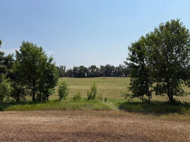 1924 land for sale at 40328 Long Lake Road in Richville, MN (photo 24 of 31)