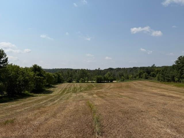 1924 land for sale at 40328 Long Lake Road in Richville, MN (photo 25 of 31)