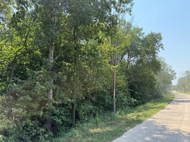 1924 land for sale at 40328 Long Lake Road in Richville, MN (photo 27 of 31)