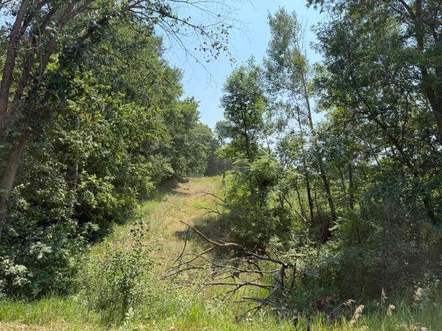 1924 land for sale at 40328 Long Lake Road in Richville, MN (photo 28 of 31)