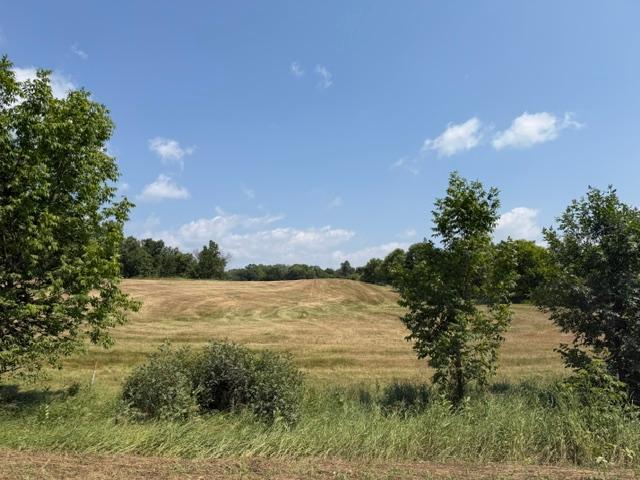1924 land for sale at 40328 Long Lake Road in Richville, MN (photo 29 of 31)