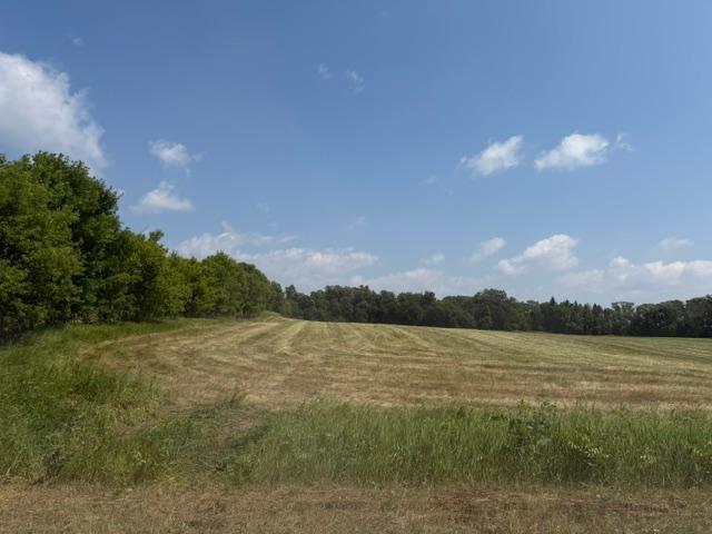 1924 land for sale at 40328 Long Lake Road in Richville, MN (photo 30 of 31)
