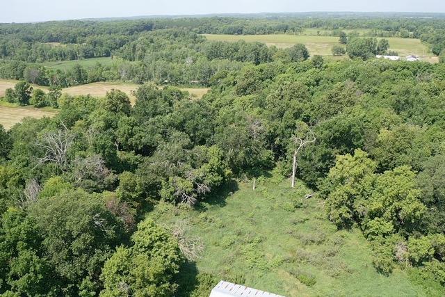 1924 land for sale at 40328 Long Lake Road in Richville, MN (photo 7 of 31)