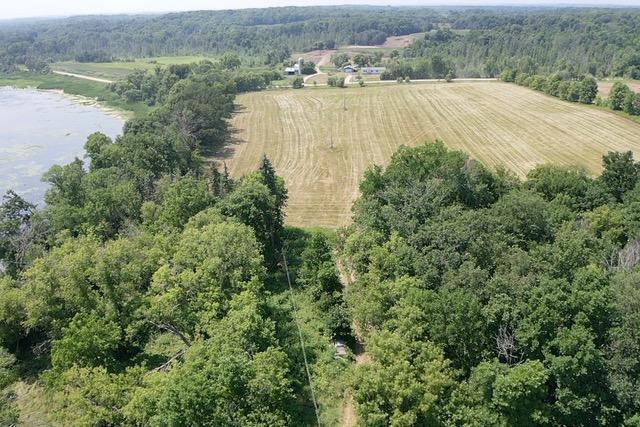 1924 land for sale at 40328 Long Lake Road in Richville, MN (photo 9 of 31)