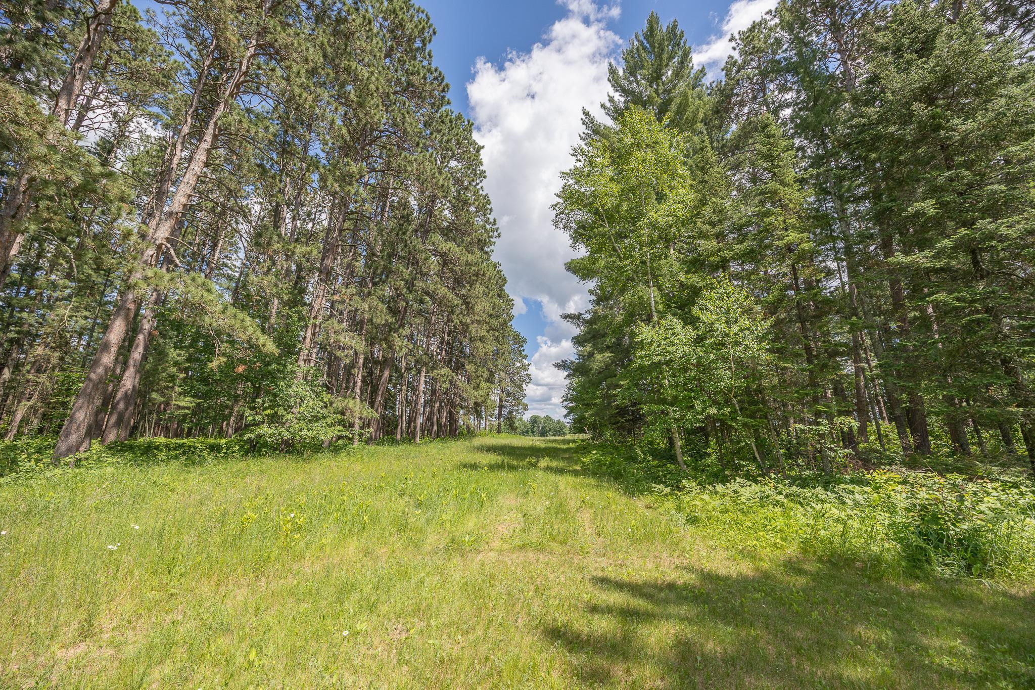 4728 Sioux Camp Road NE, Longville MN 56655 - Photo 31 of 44