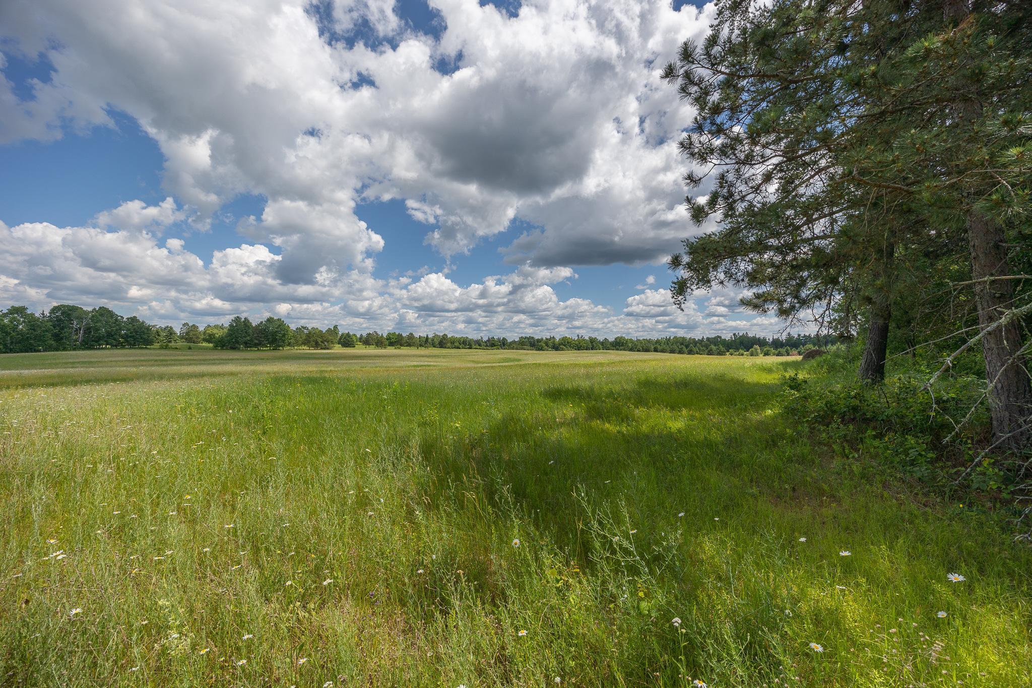 4728 Sioux Camp Road NE, Longville MN 56655 - Photo 37 of 44