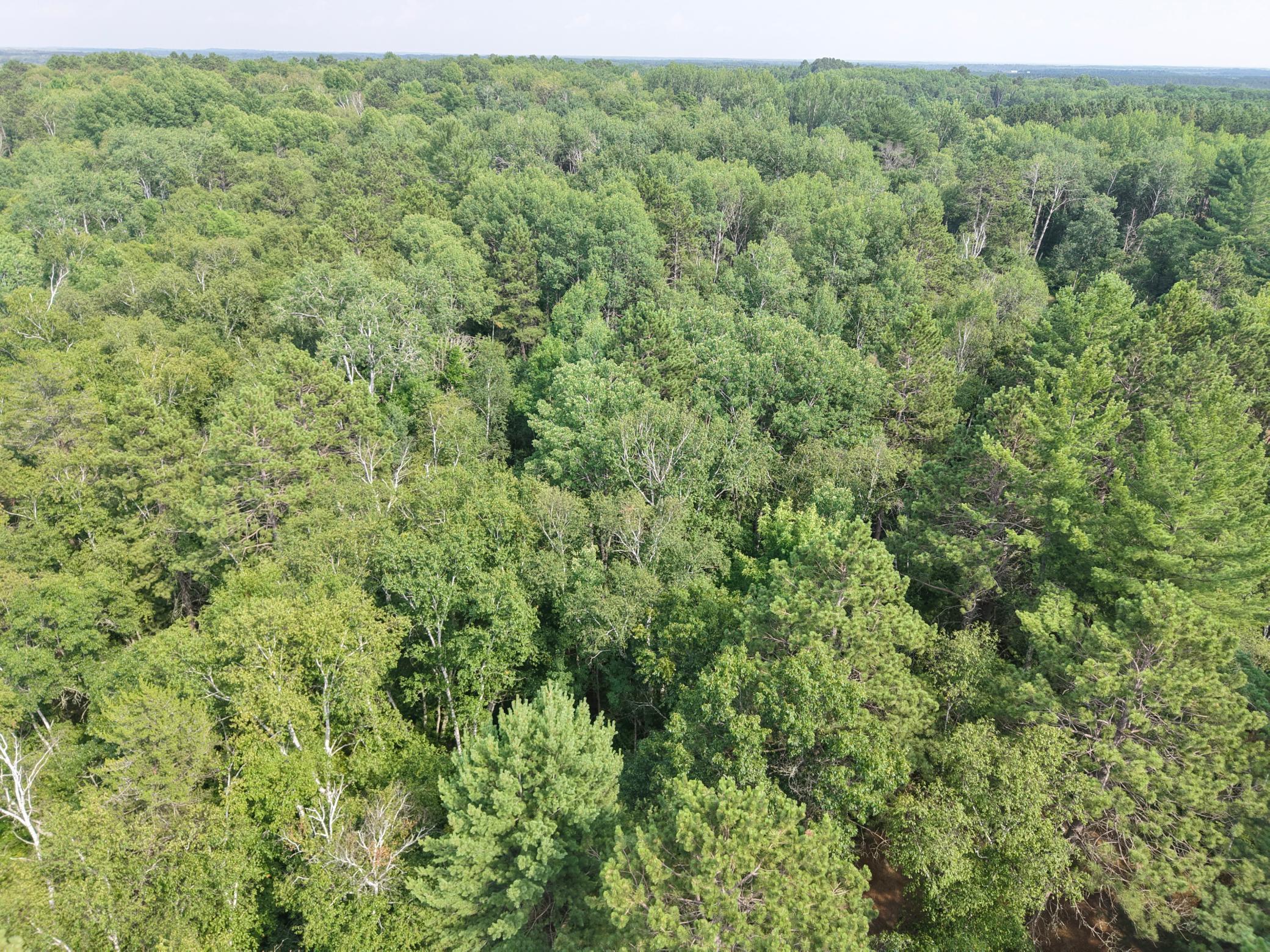 22034 County 2, Nevis MN 56467 - Photo 34 of 52