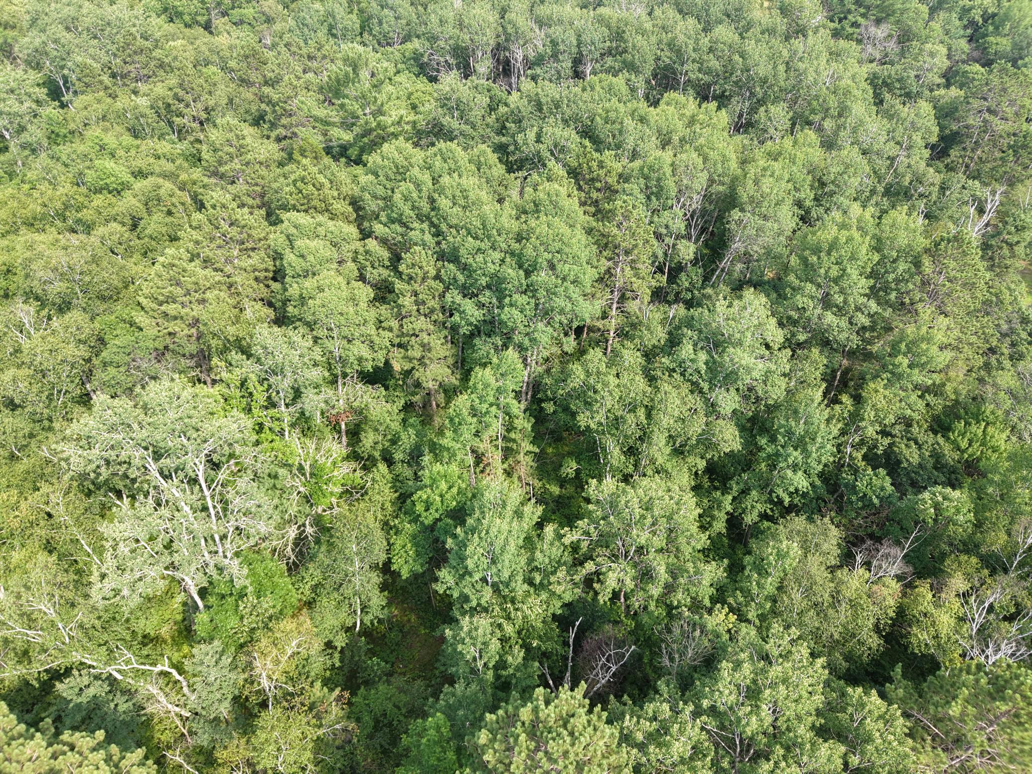 22034 County 2, Nevis MN 56467 - Photo 35 of 52
