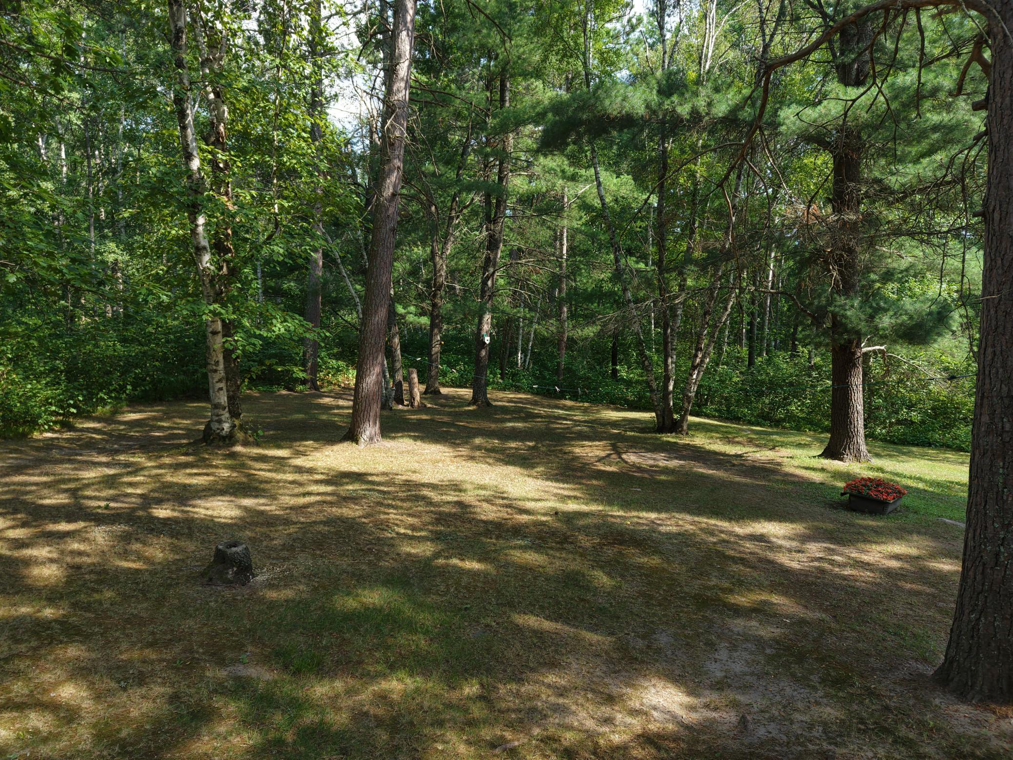 22034 County 2, Nevis MN 56467 - Photo 8 of 52