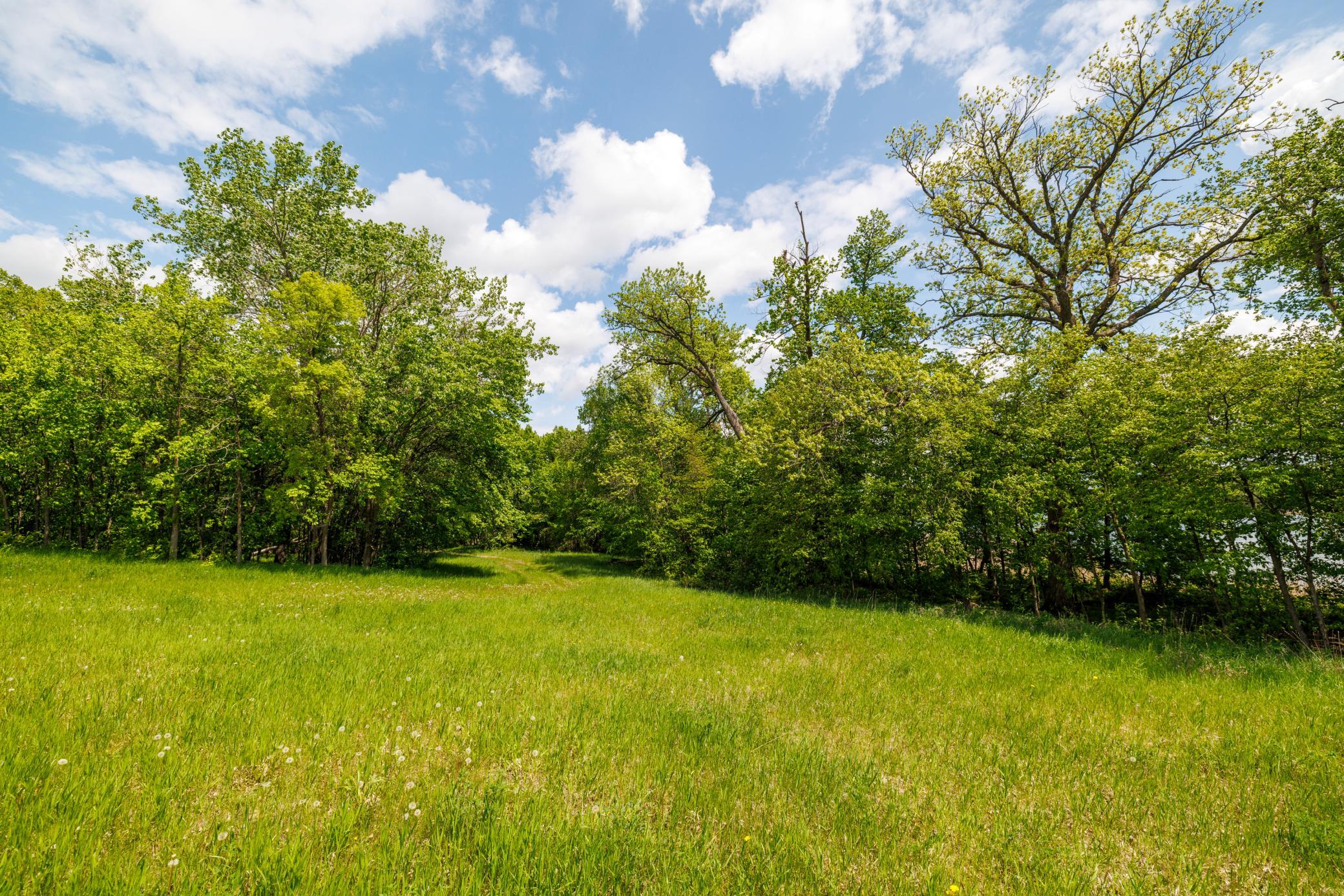 land for sale at TBD Wrigley Circle in Vergas, MN (photo 17 of 20)