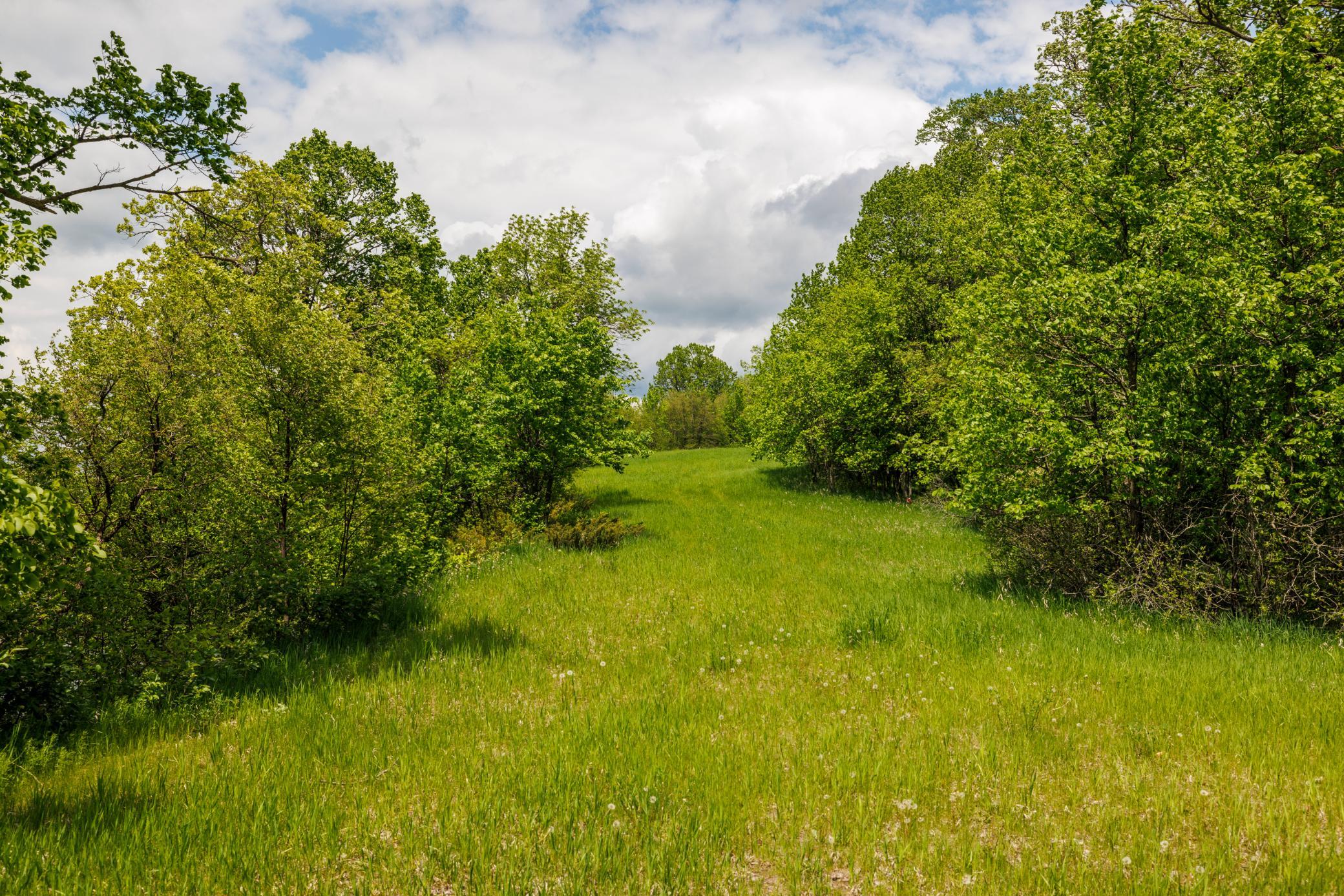 land for sale at TBD Wrigley Circle in Vergas, MN (photo 19 of 20)