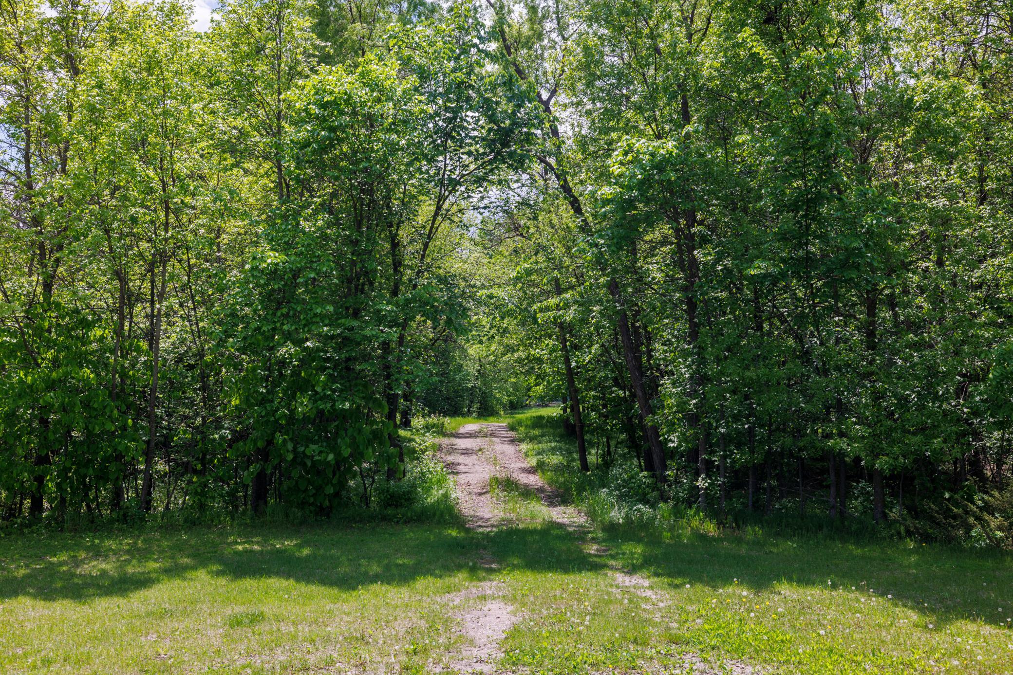 land for sale at TBD Wrigley Circle in Vergas, MN (photo 10 of 20)