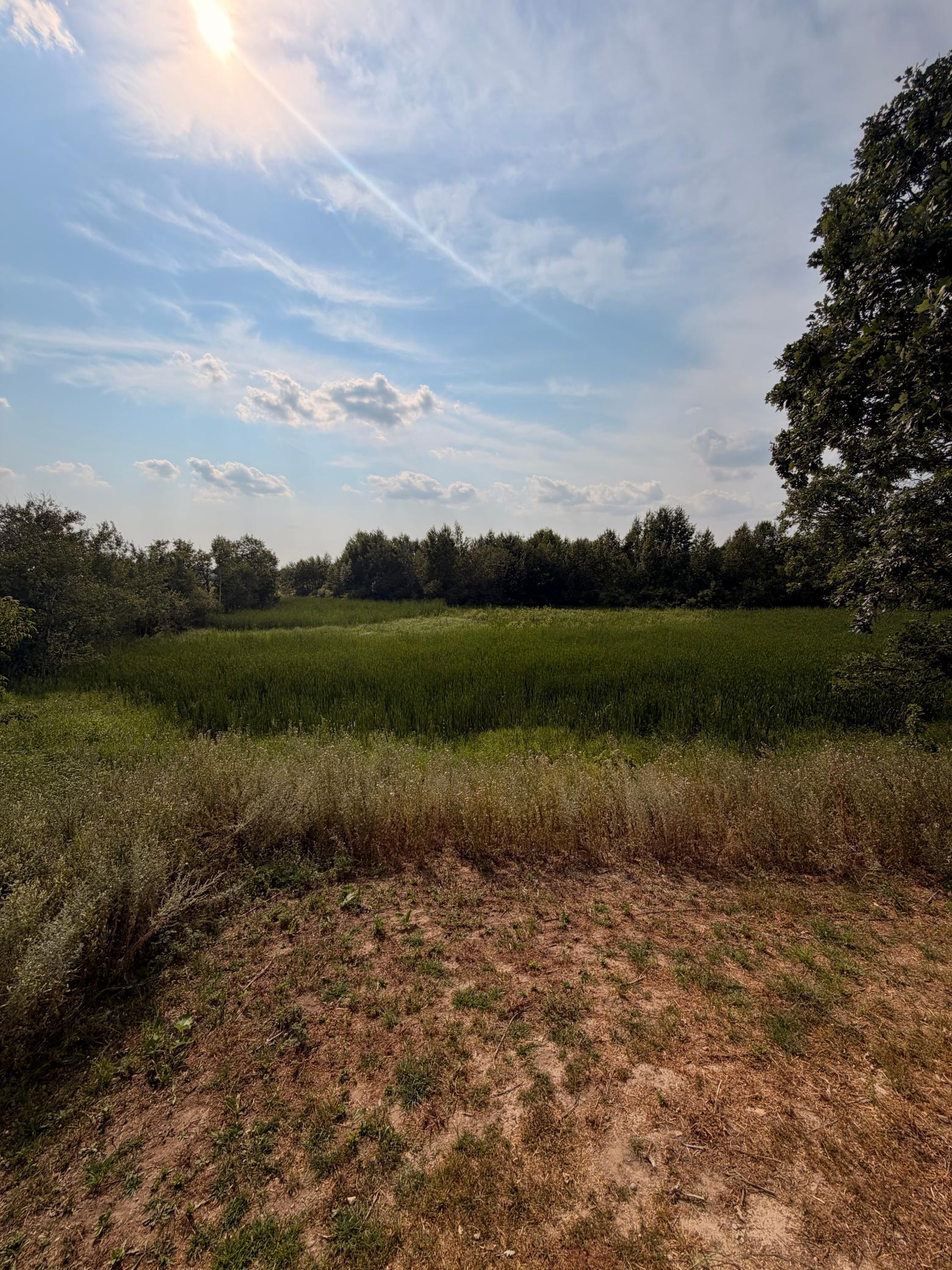 1994 single family home for sale at 330 5th Street in Bluffton, MN — 5 bed, 4 bath (photo 27 of 27)