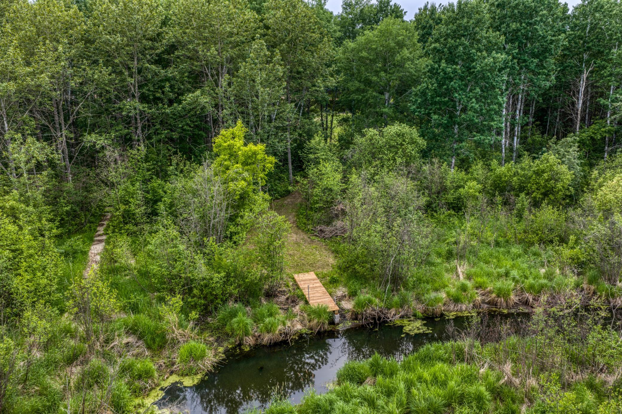39332 Orchid Trail, Bemidji MN 56461 - Photo 9 of 49