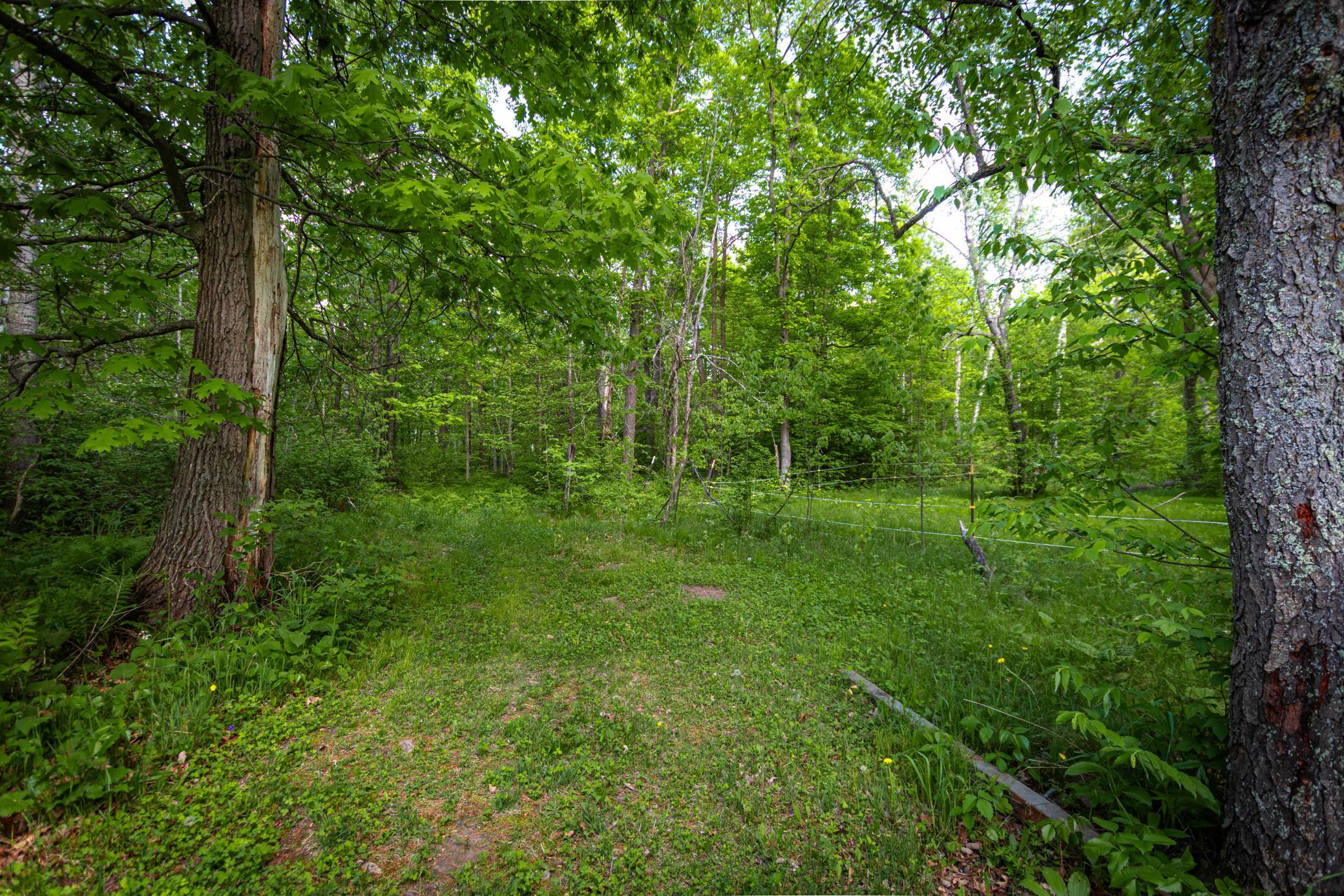 43522 US 71, Bemidji MN 56461 - Photo 44 of 44