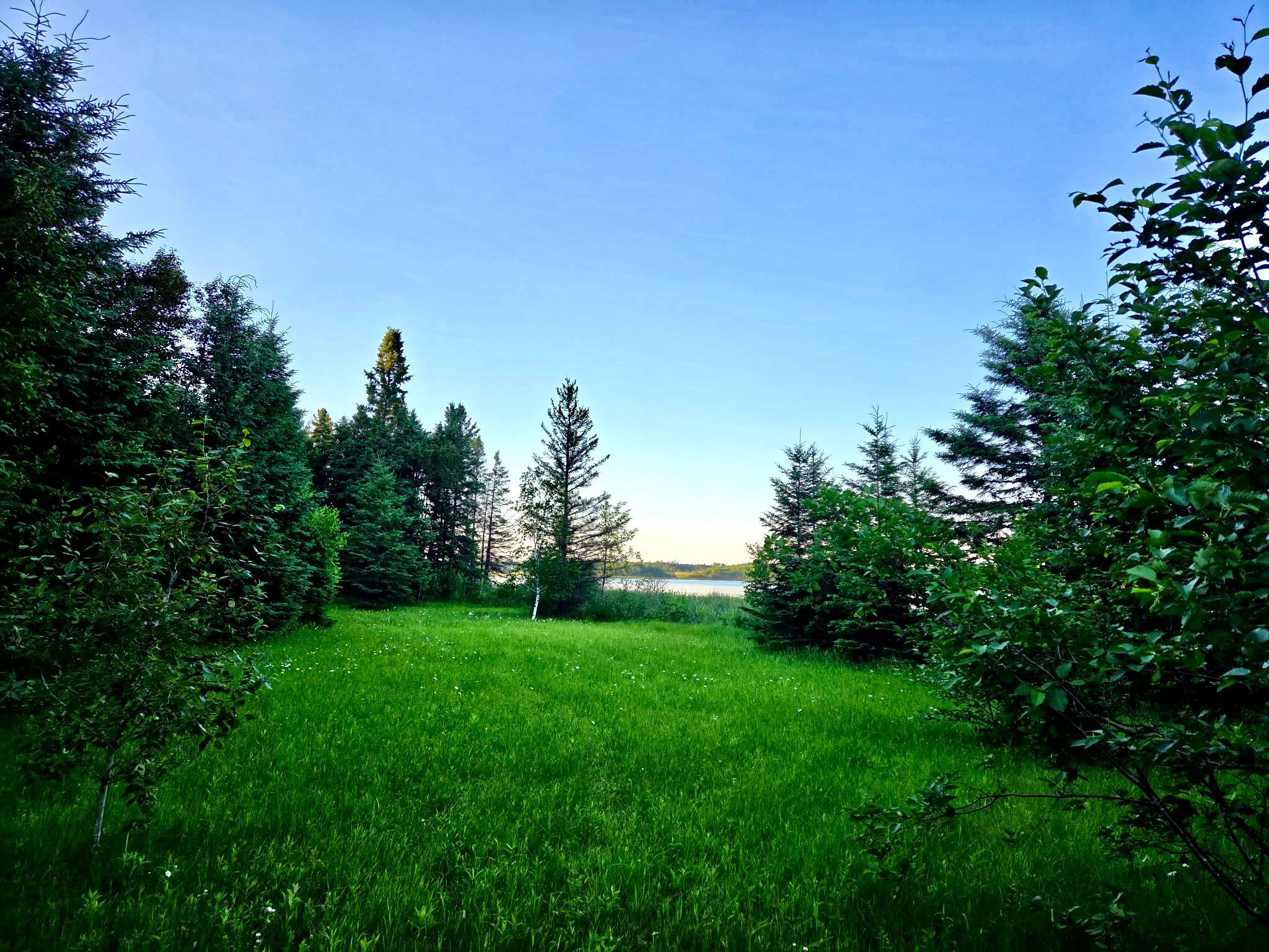 1978 land for sale at TBD 190th Street in Bagley, MN