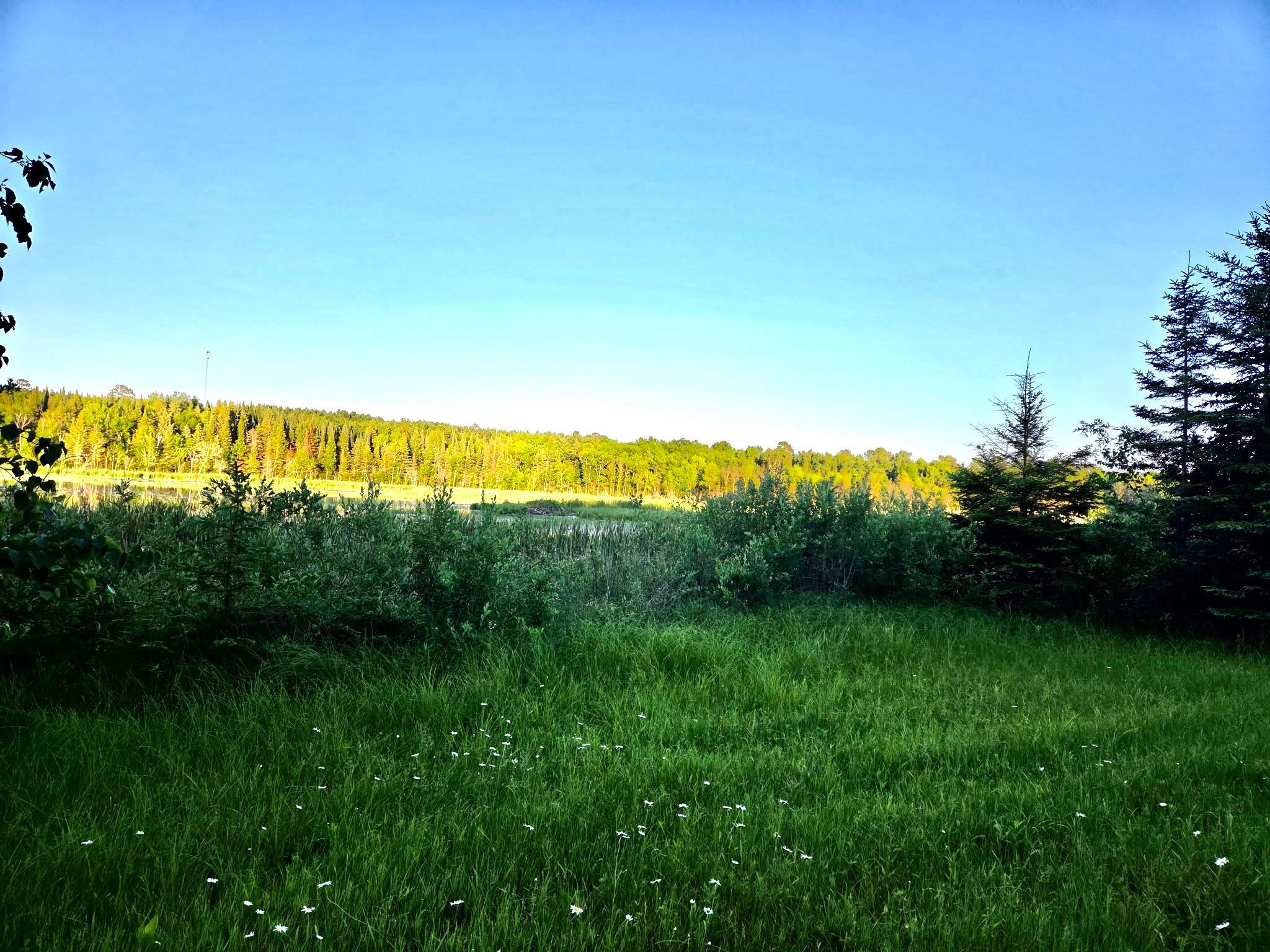 1978 land for sale at TBD 190th Street in Bagley, MN (photo 2 of 6)