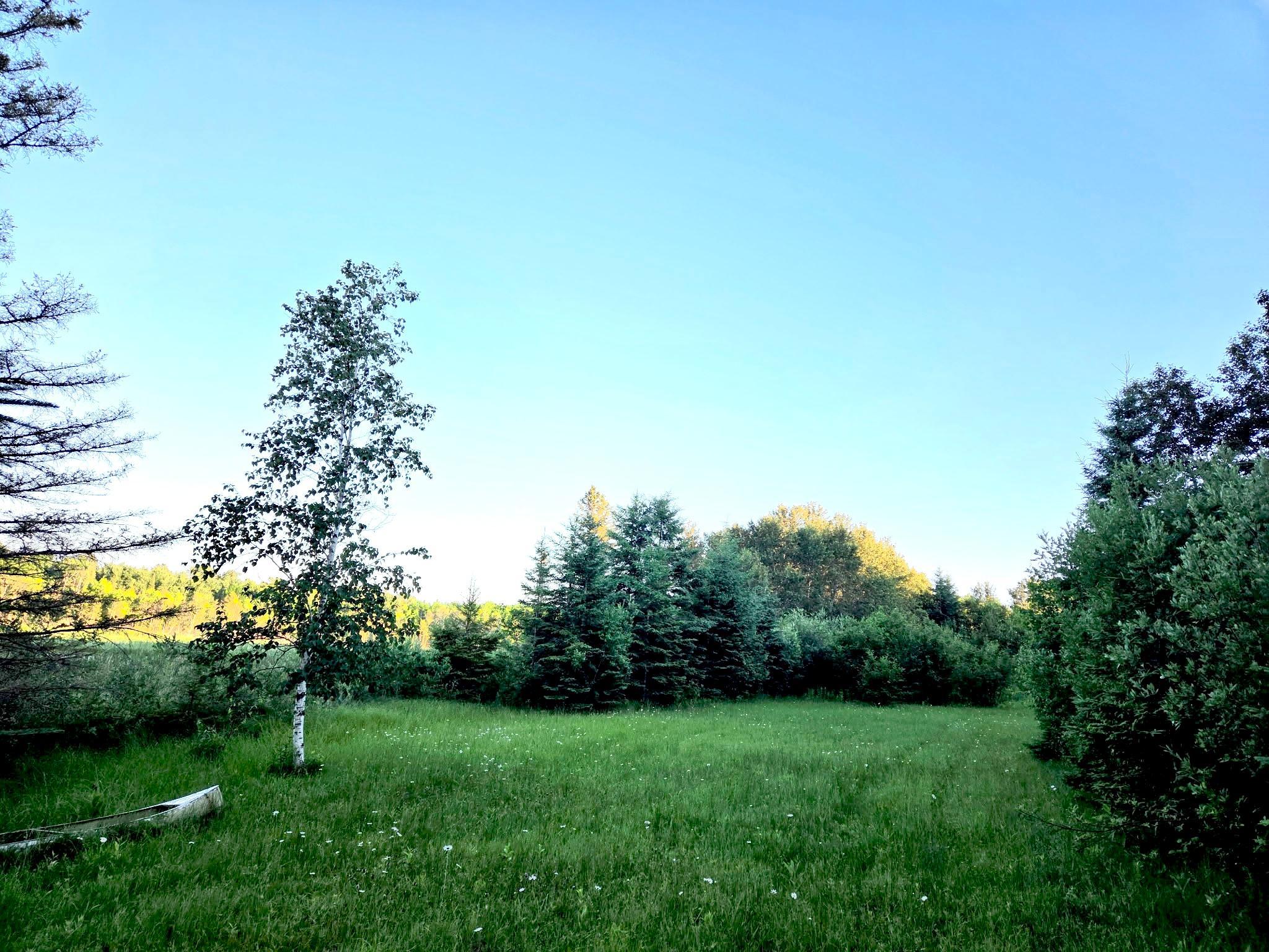 1978 land for sale at TBD 190th Street in Bagley, MN (photo 3 of 6)