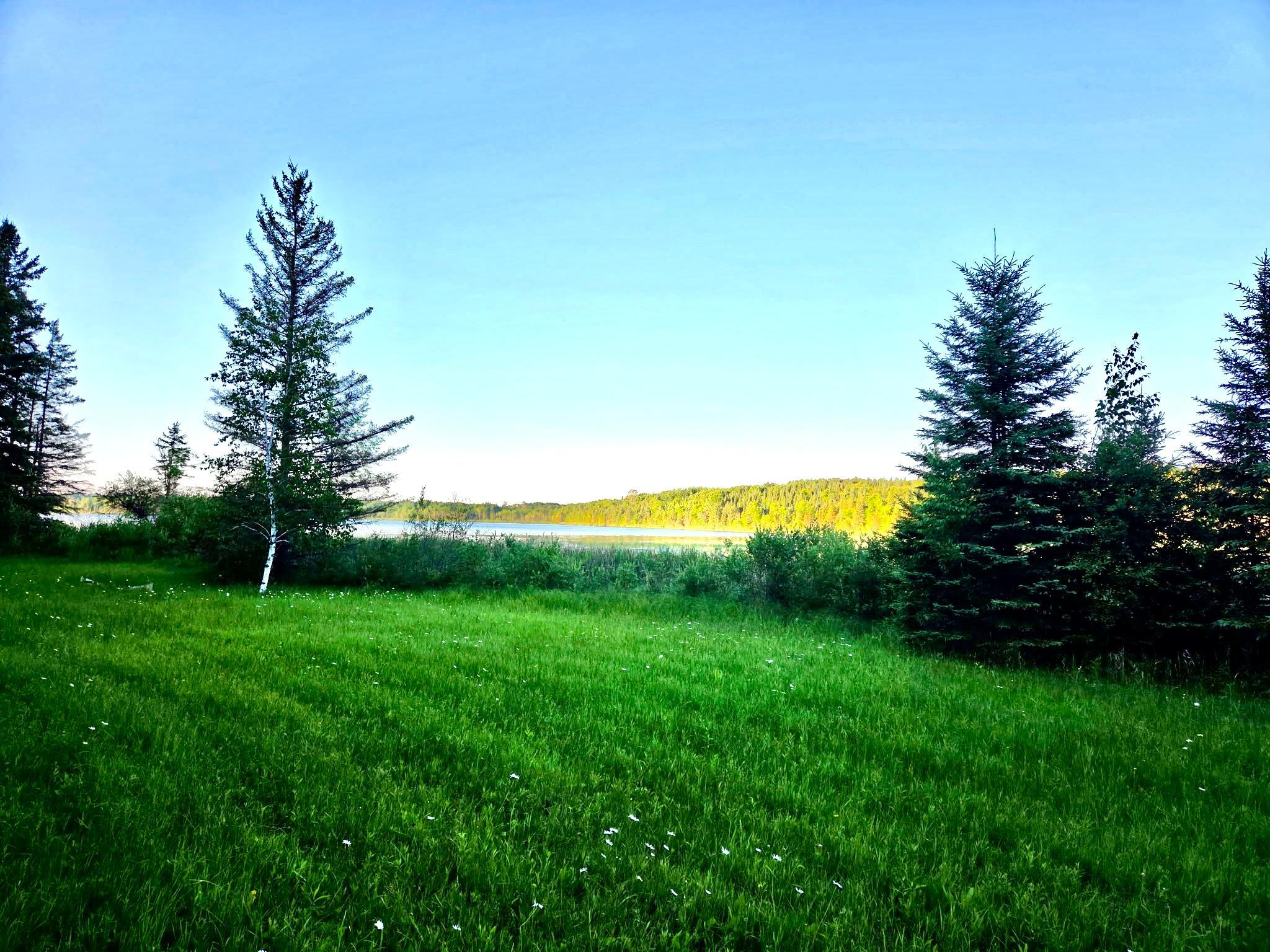 1978 land for sale at TBD 190th Street in Bagley, MN (photo 4 of 6)