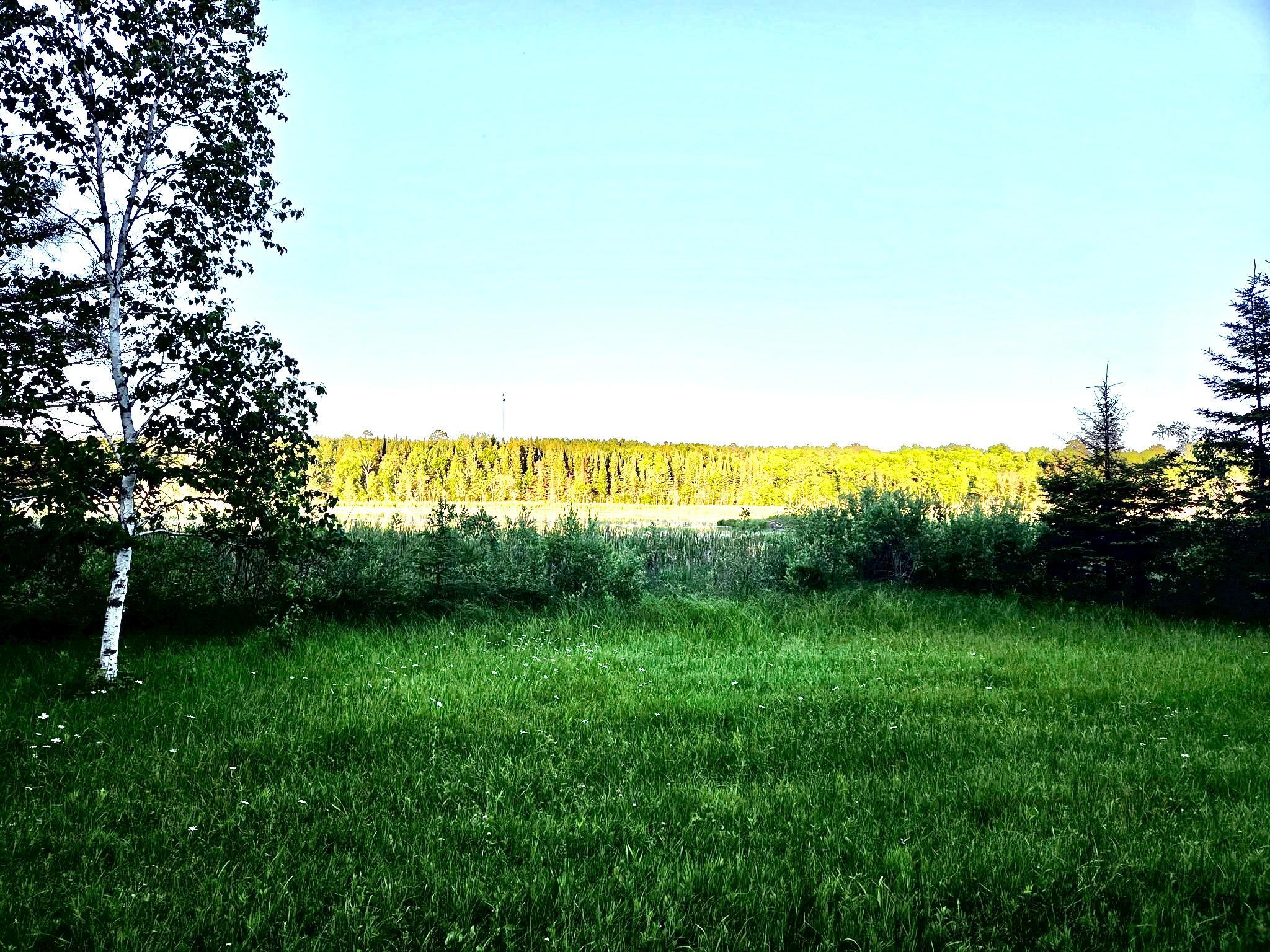 1978 land for sale at TBD 190th Street in Bagley, MN (photo 5 of 6)