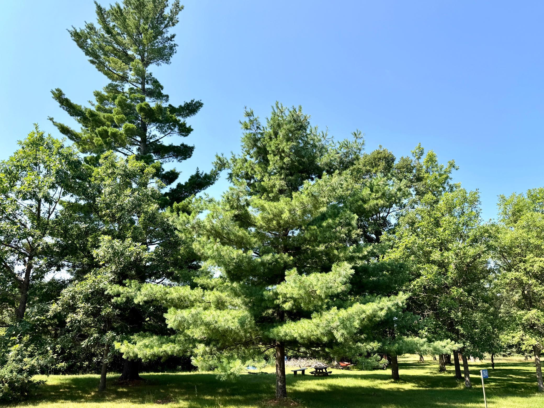 2841 Timberlane Way SW, Bemidji MN 56601 - Photo 40 of 41