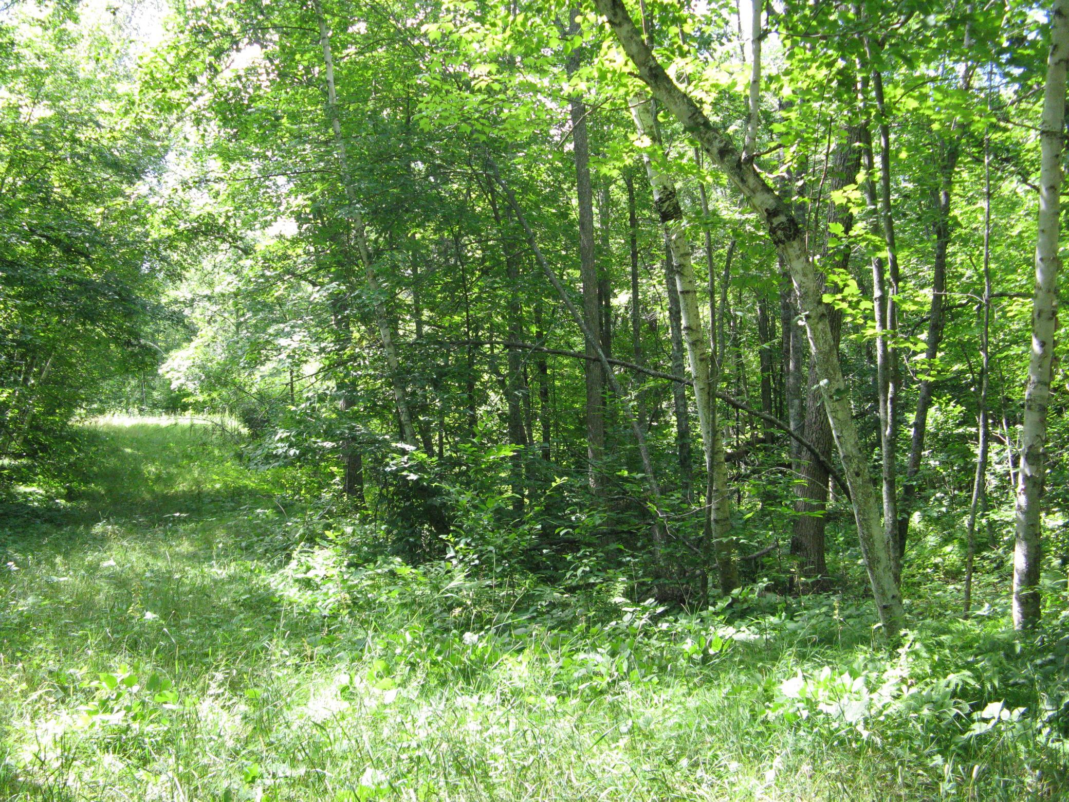 TBD Alpine Circle, Breezy Point MN 56472 - Photo 2 of 11