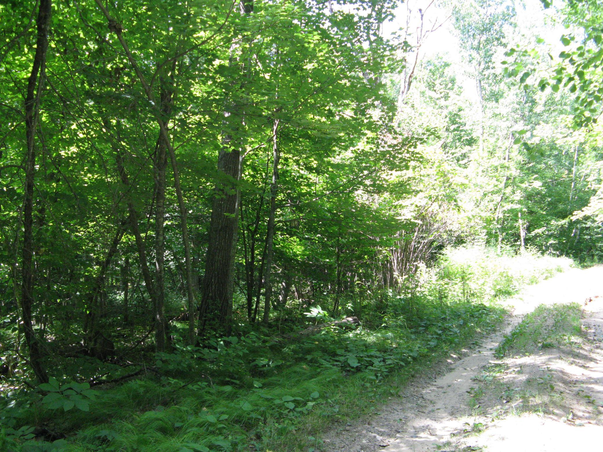 TBD Alpine Circle, Breezy Point MN 56472 - Photo 11 of 11