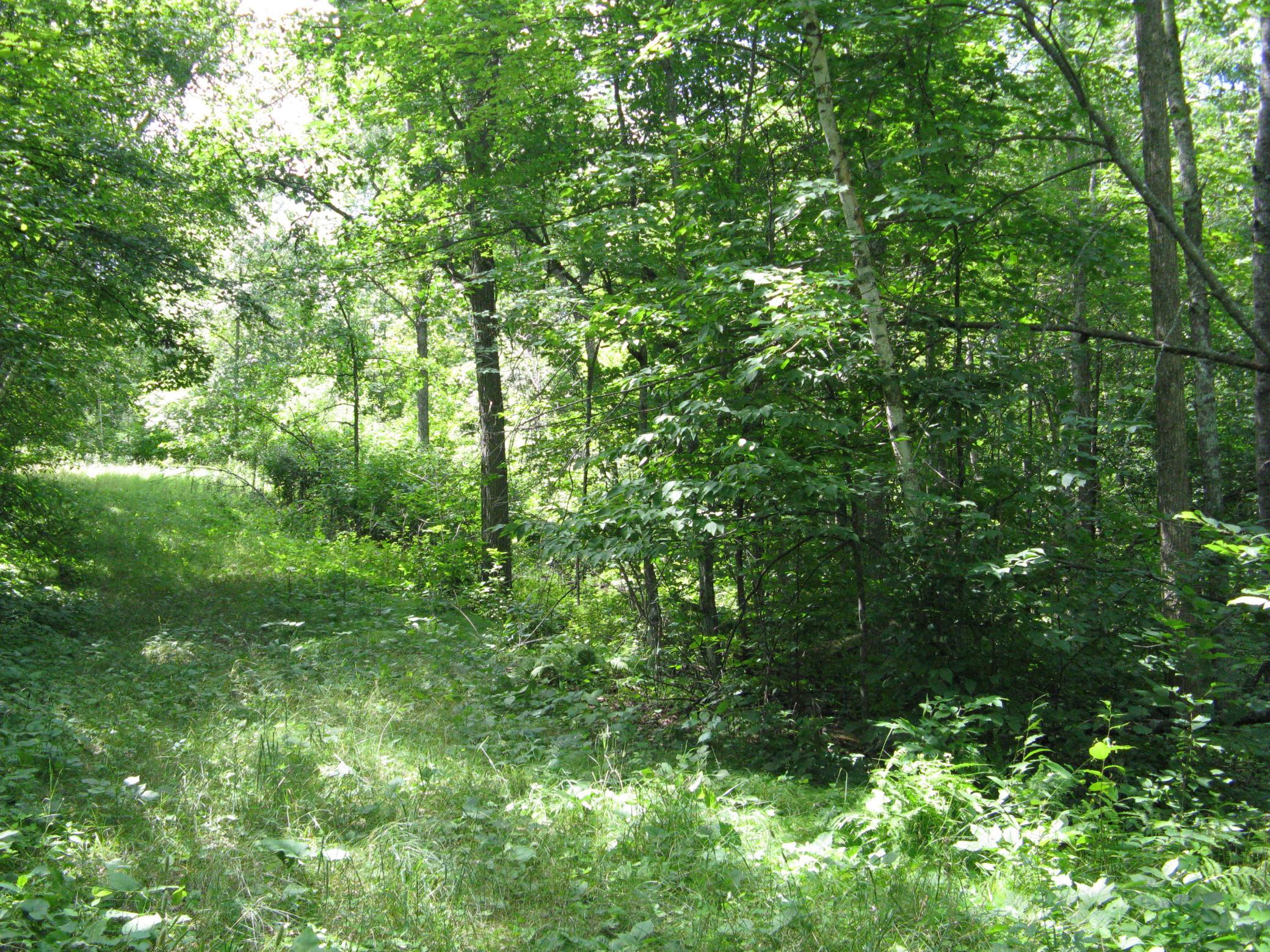 TBD Alpine Circle, Breezy Point MN 56472 - Photo 3 of 11