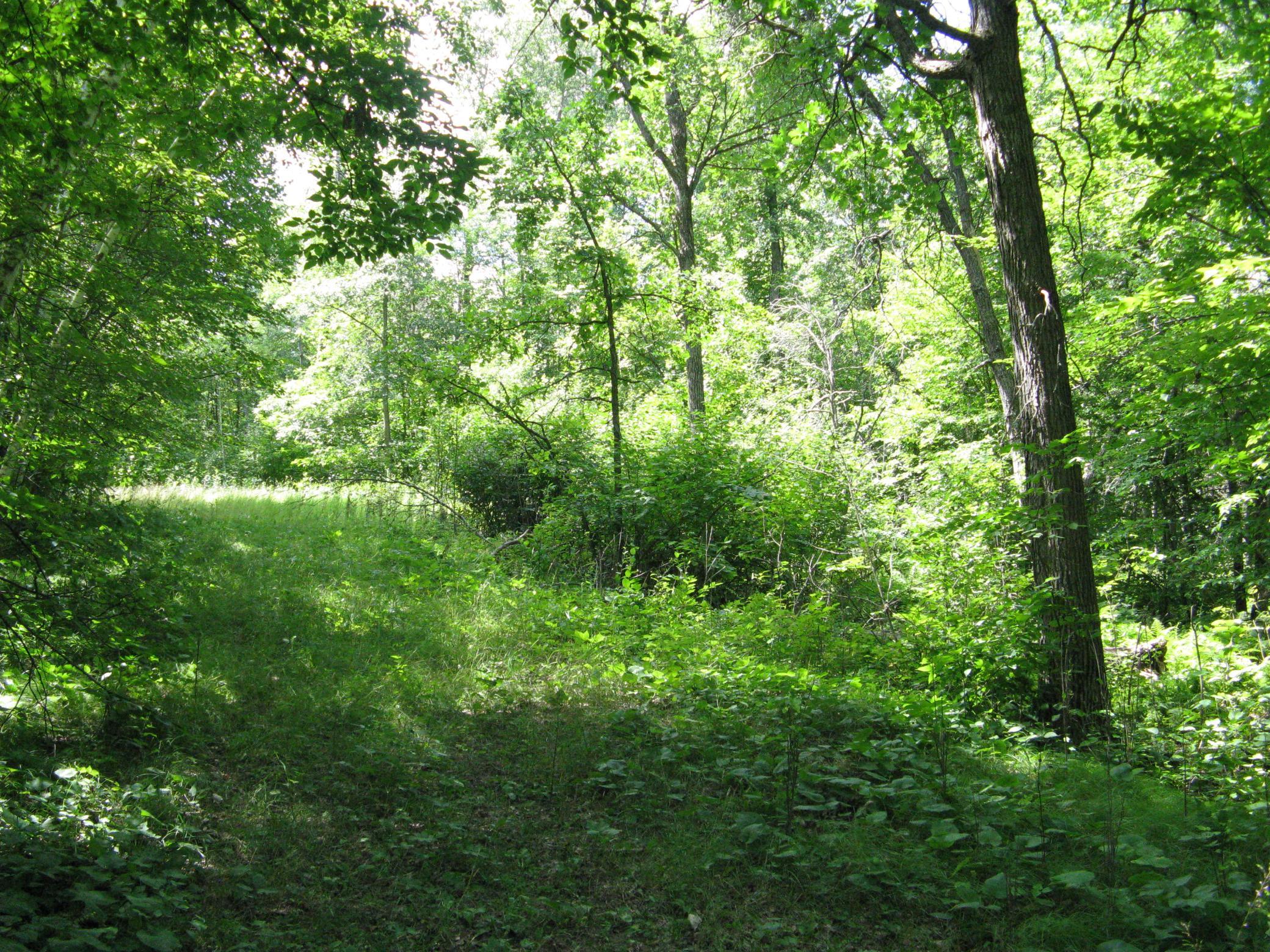 TBD Alpine Circle, Breezy Point MN 56472 - Photo 4 of 11