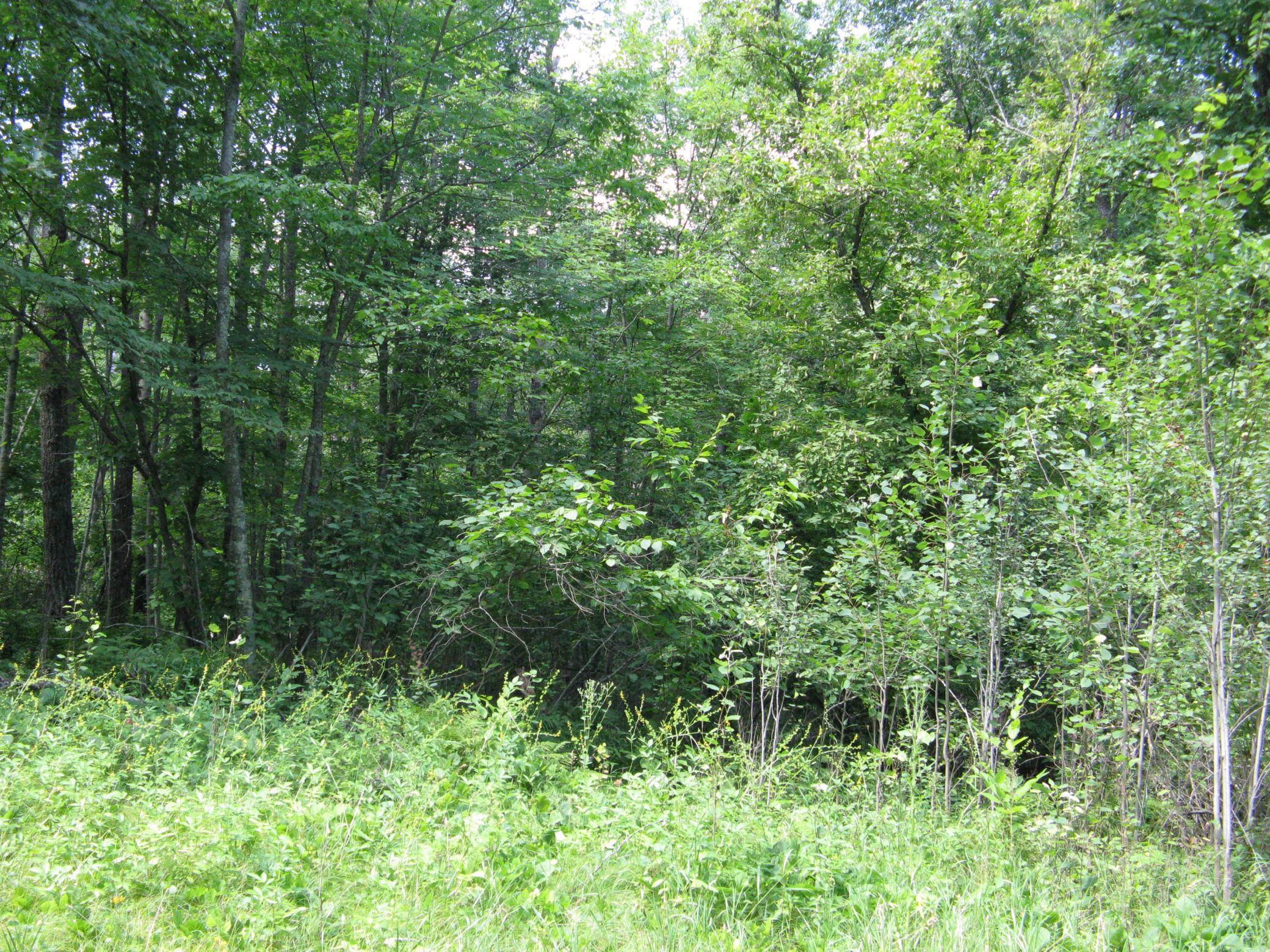 TBD Alpine Circle, Breezy Point MN 56472 - Photo 7 of 11