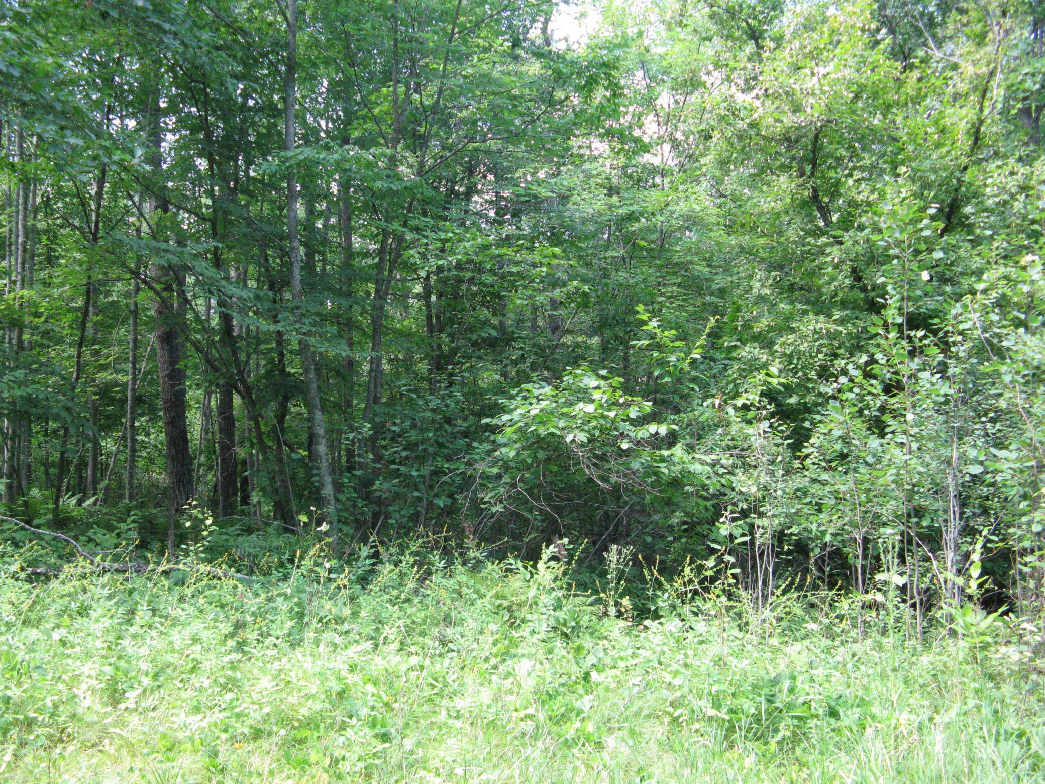 TBD Alpine Circle, Breezy Point MN 56472 - Photo 8 of 11