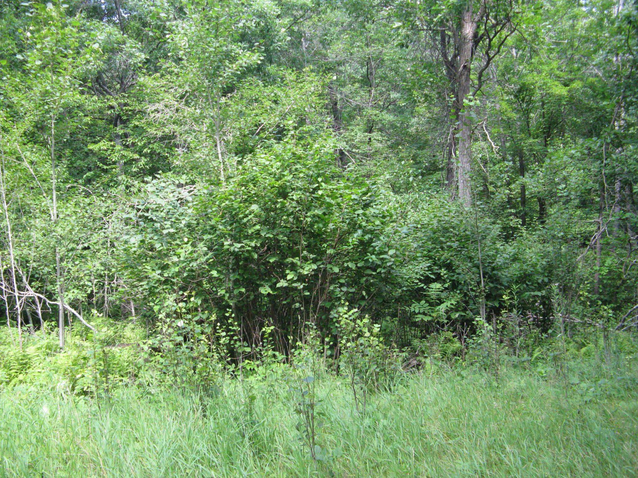 TBD Alpine Circle, Breezy Point MN 56472 - Photo 9 of 11