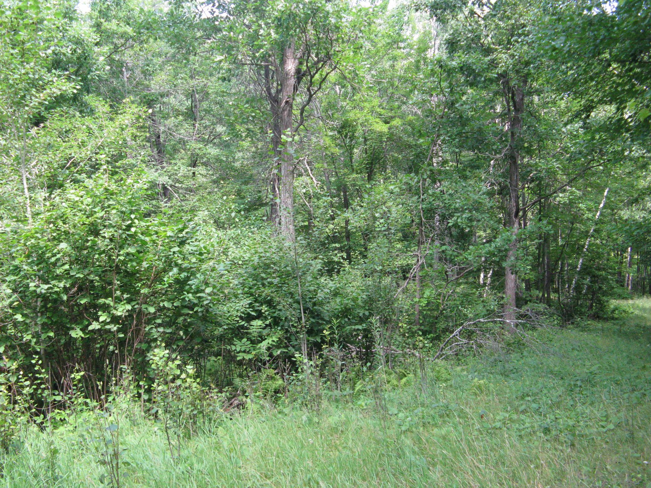 TBD Alpine Circle, Breezy Point MN 56472 - Photo 10 of 11