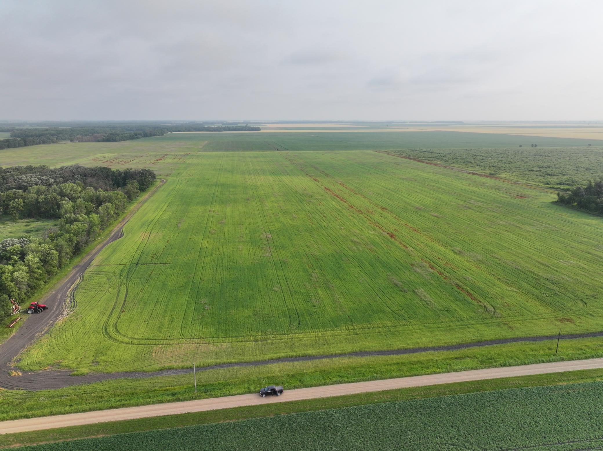 land for sale at 390th 390th st NW in Stephen, MN (photo 2 of 21)