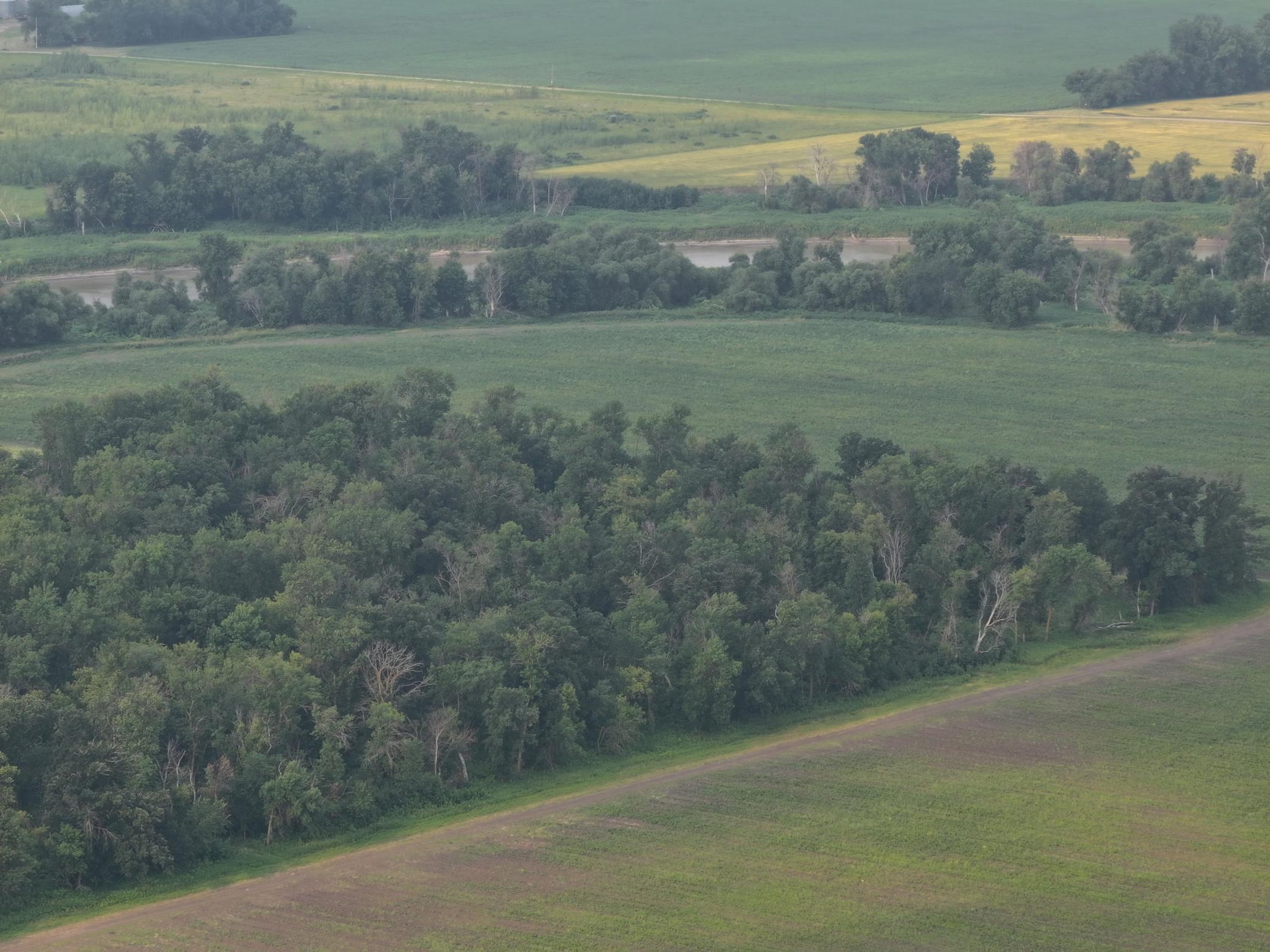 land for sale at 390th 390th st NW in Stephen, MN (photo 11 of 21)