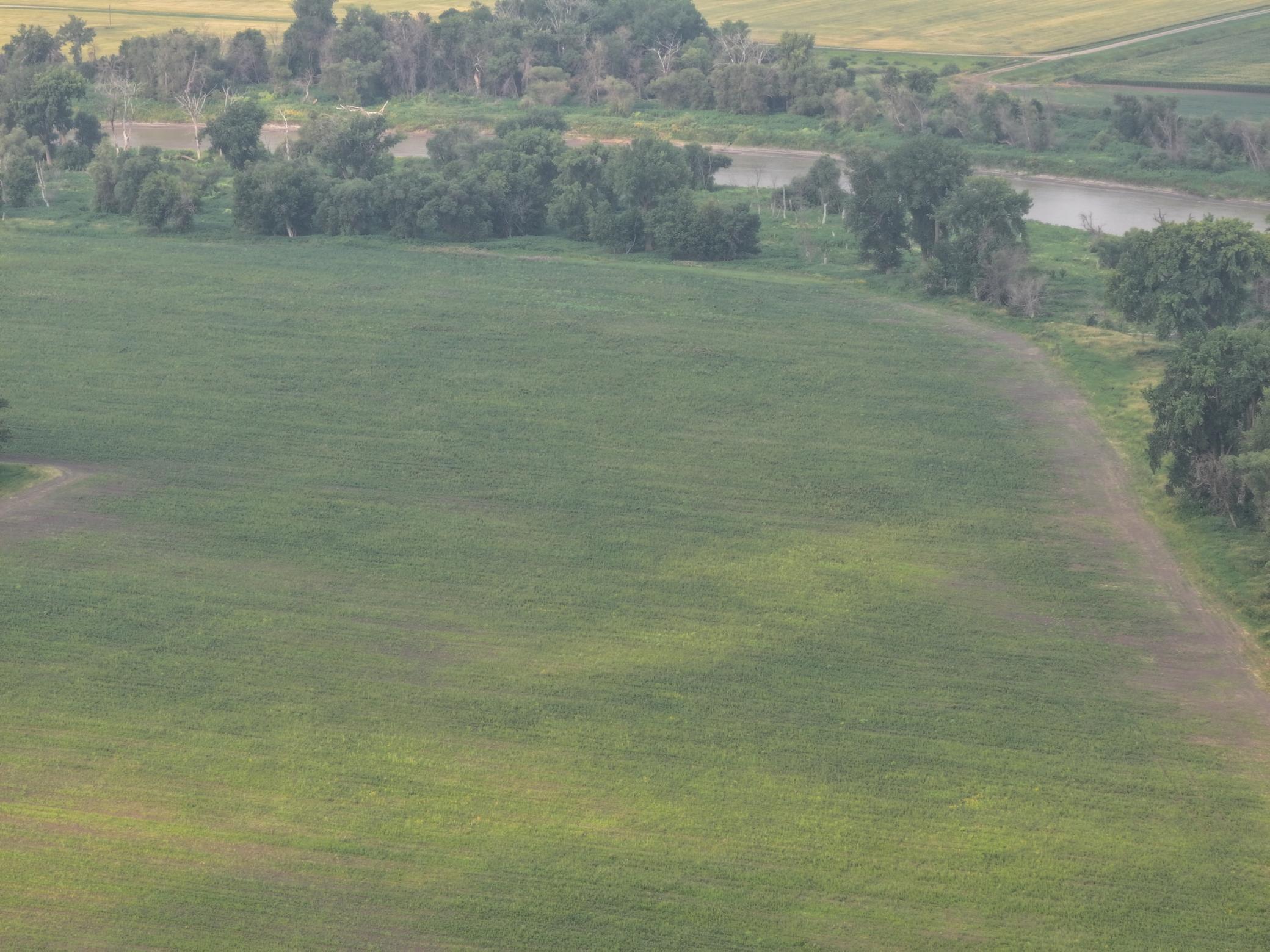 land for sale at 390th 390th st NW in Stephen, MN (photo 12 of 21)