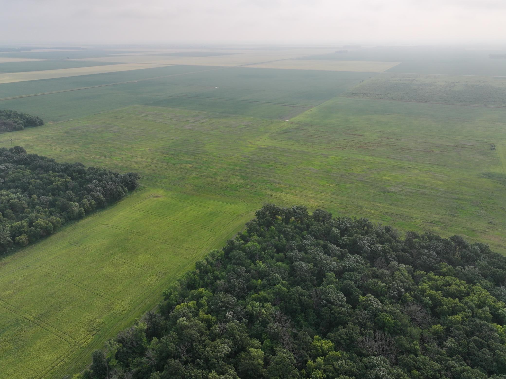 land for sale at 390th 390th st NW in Stephen, MN (photo 15 of 21)