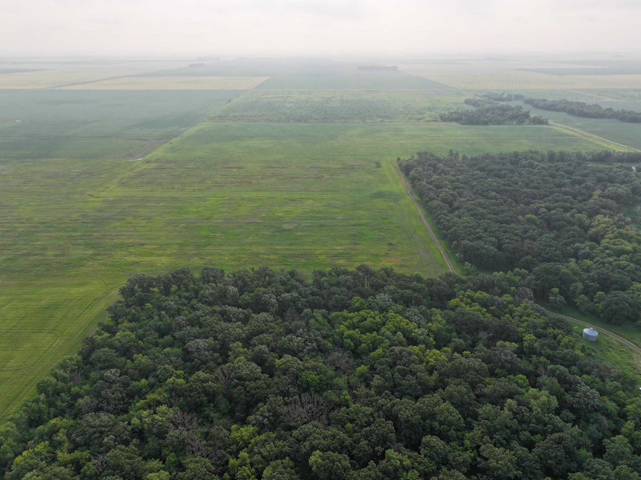 land for sale at 390th 390th st NW in Stephen, MN (photo 16 of 21)