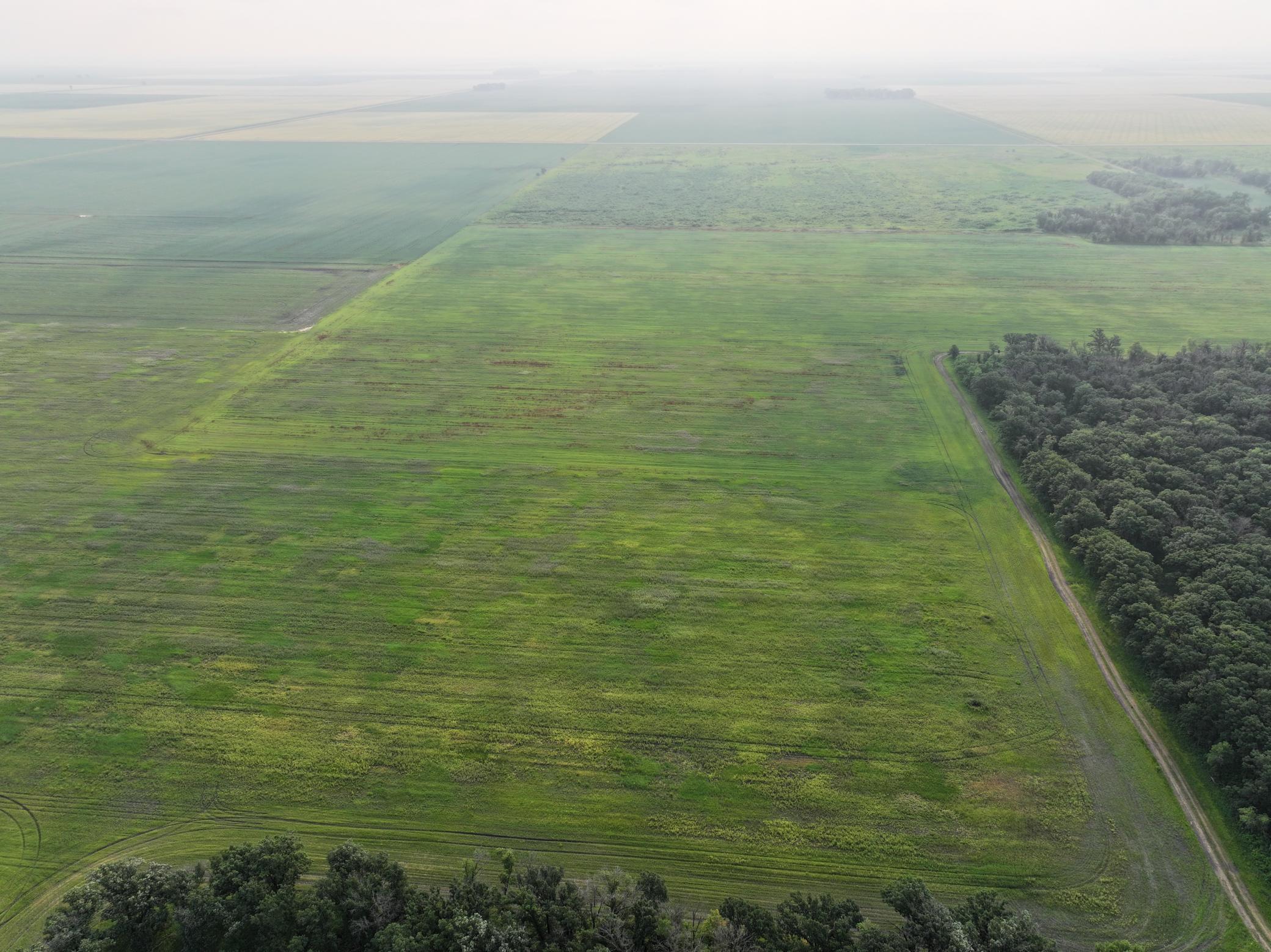 land for sale at 390th 390th st NW in Stephen, MN (photo 17 of 21)