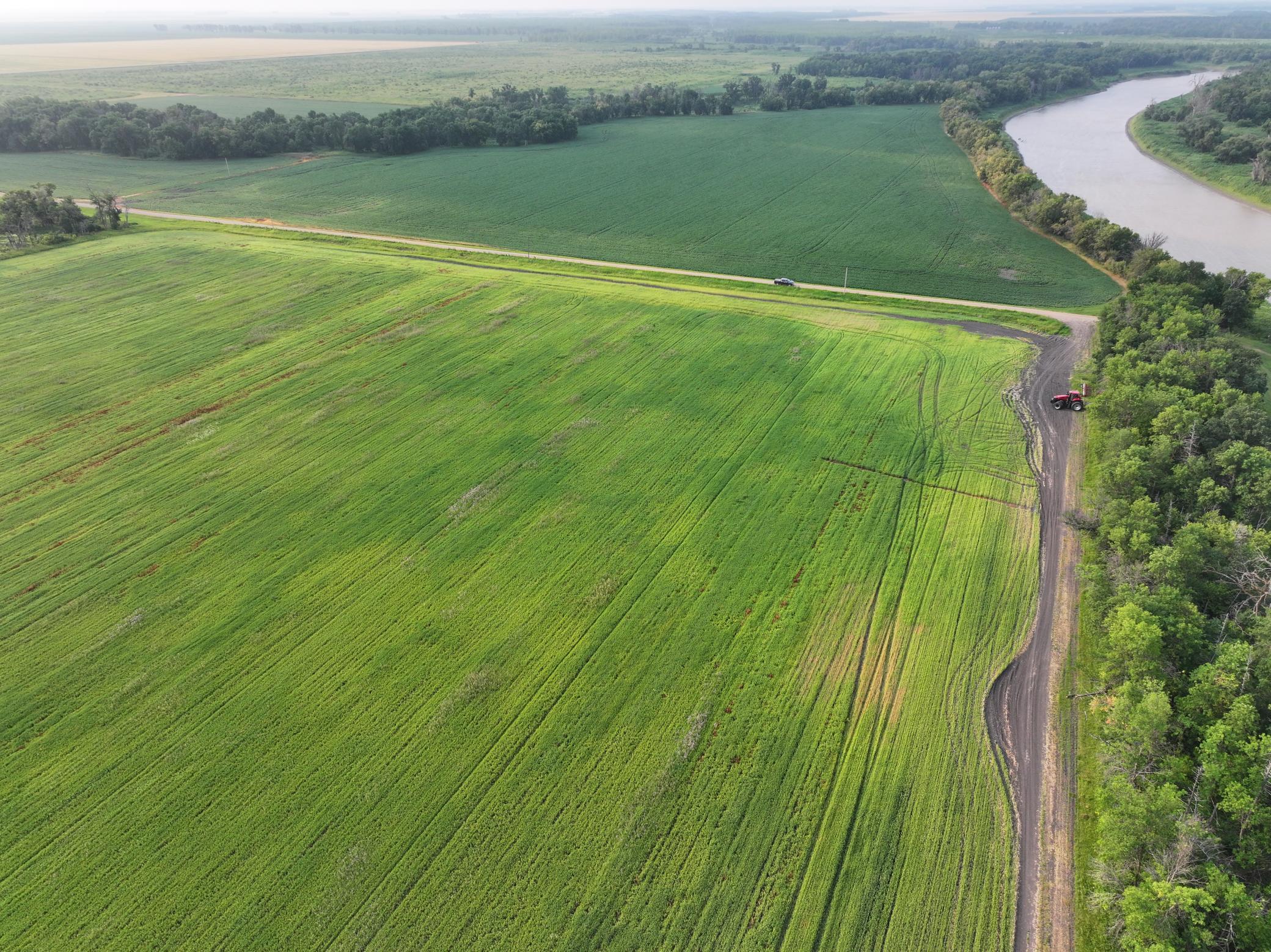 land for sale at 390th 390th st NW in Stephen, MN (photo 18 of 21)