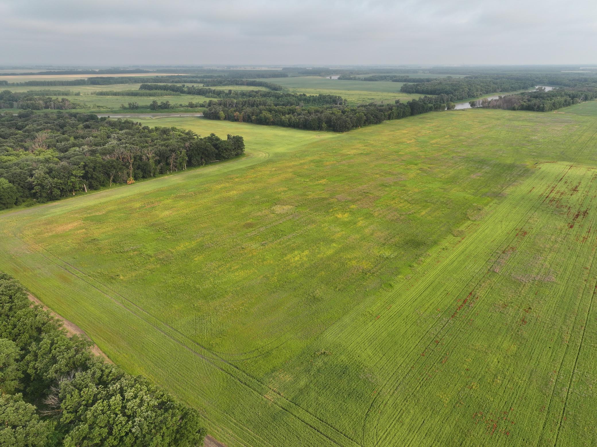 land for sale at 390th 390th st NW in Stephen, MN (photo 4 of 21)