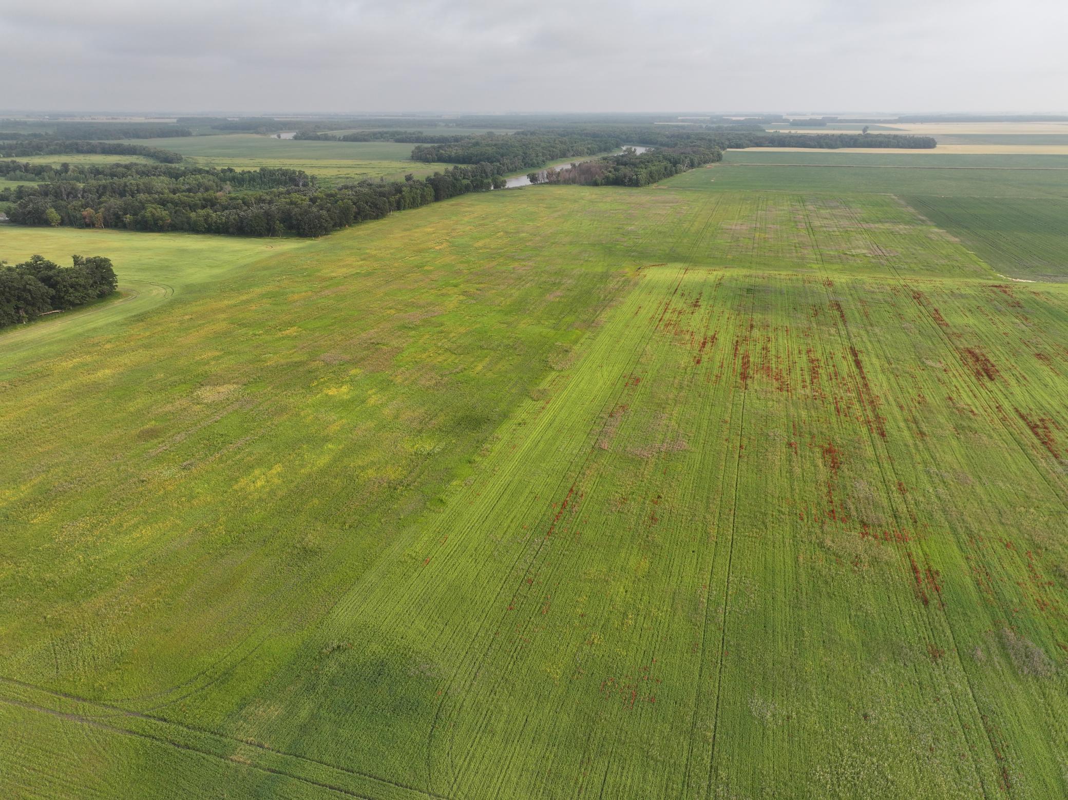 land for sale at 390th 390th st NW in Stephen, MN (photo 5 of 21)