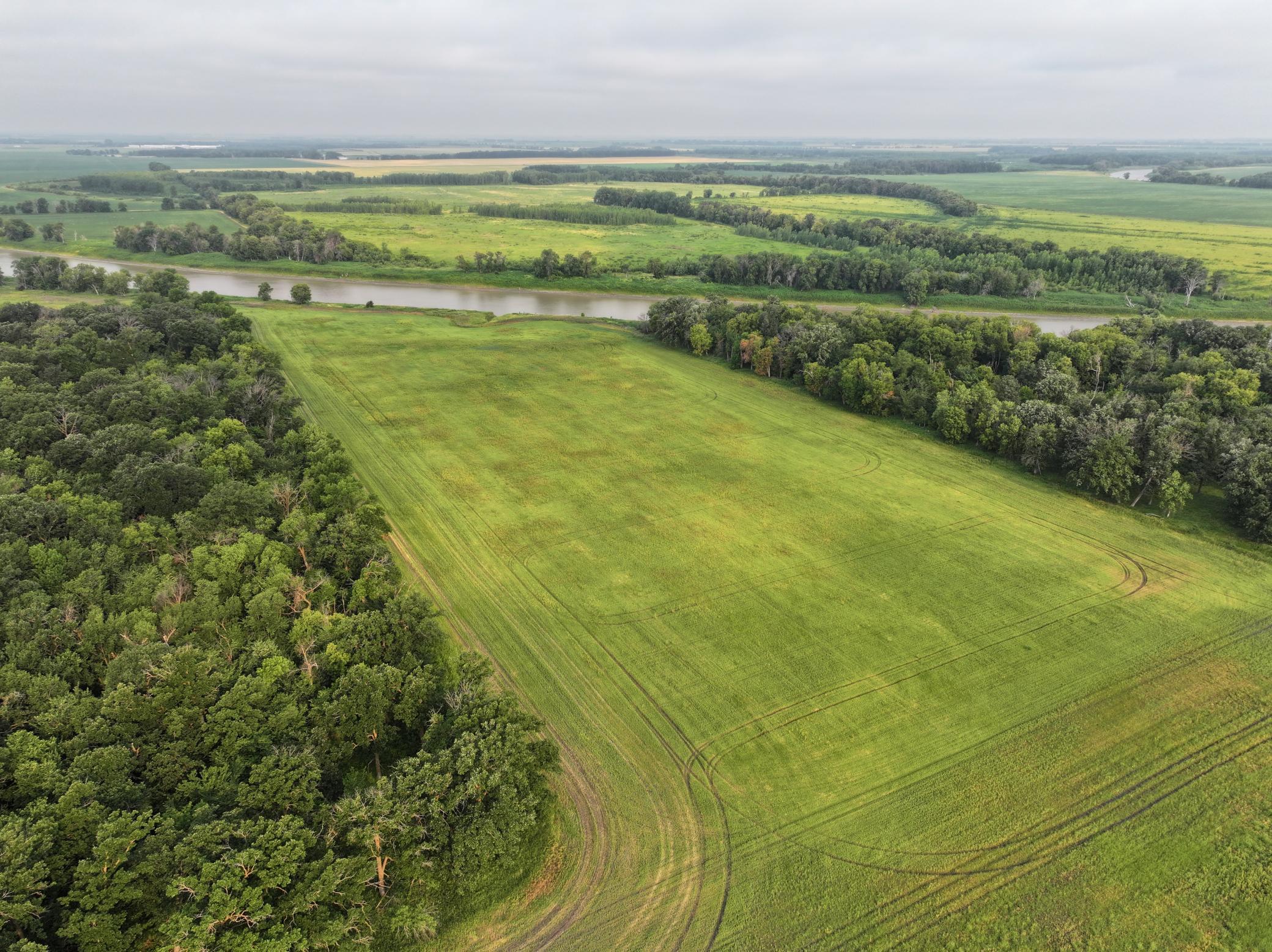 land for sale at 390th 390th st NW in Stephen, MN (photo 6 of 21)