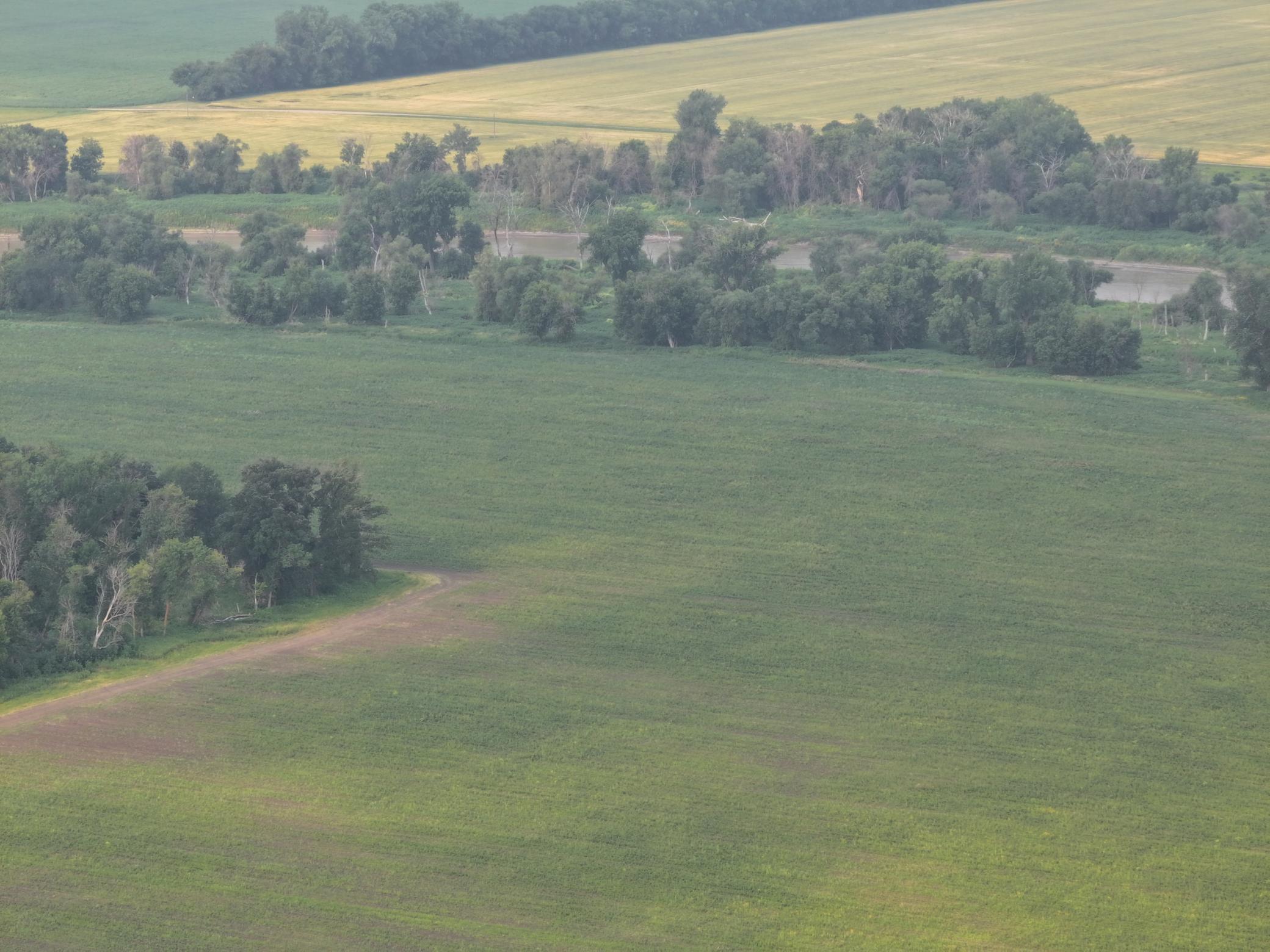 land for sale at 390th 390th st NW in Stephen, MN (photo 10 of 21)