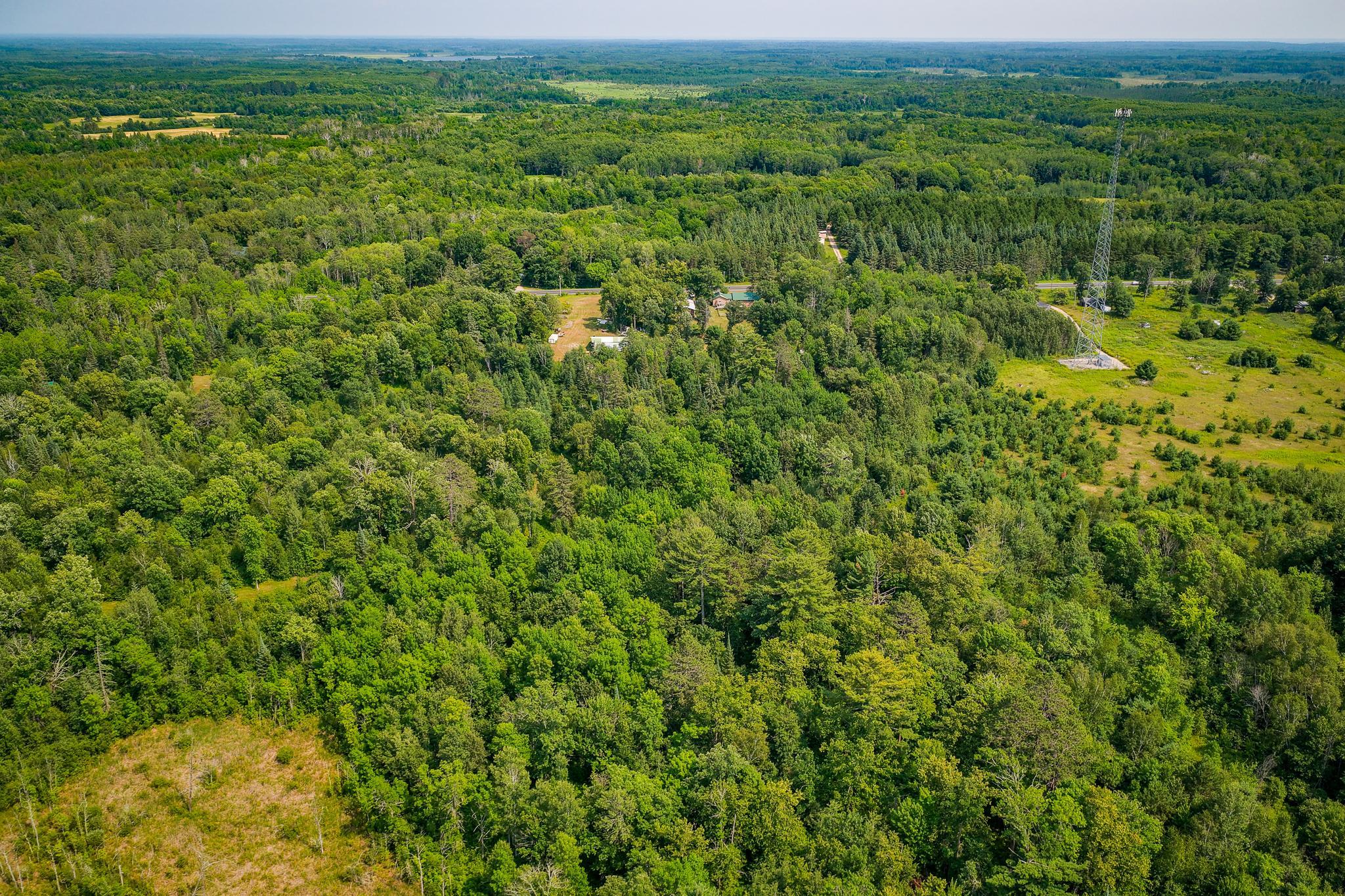1970 single family home for sale at 1723 Scenic Highway NE in Pennington, MN — 3 bed, 2 bath (photo 22 of 46)