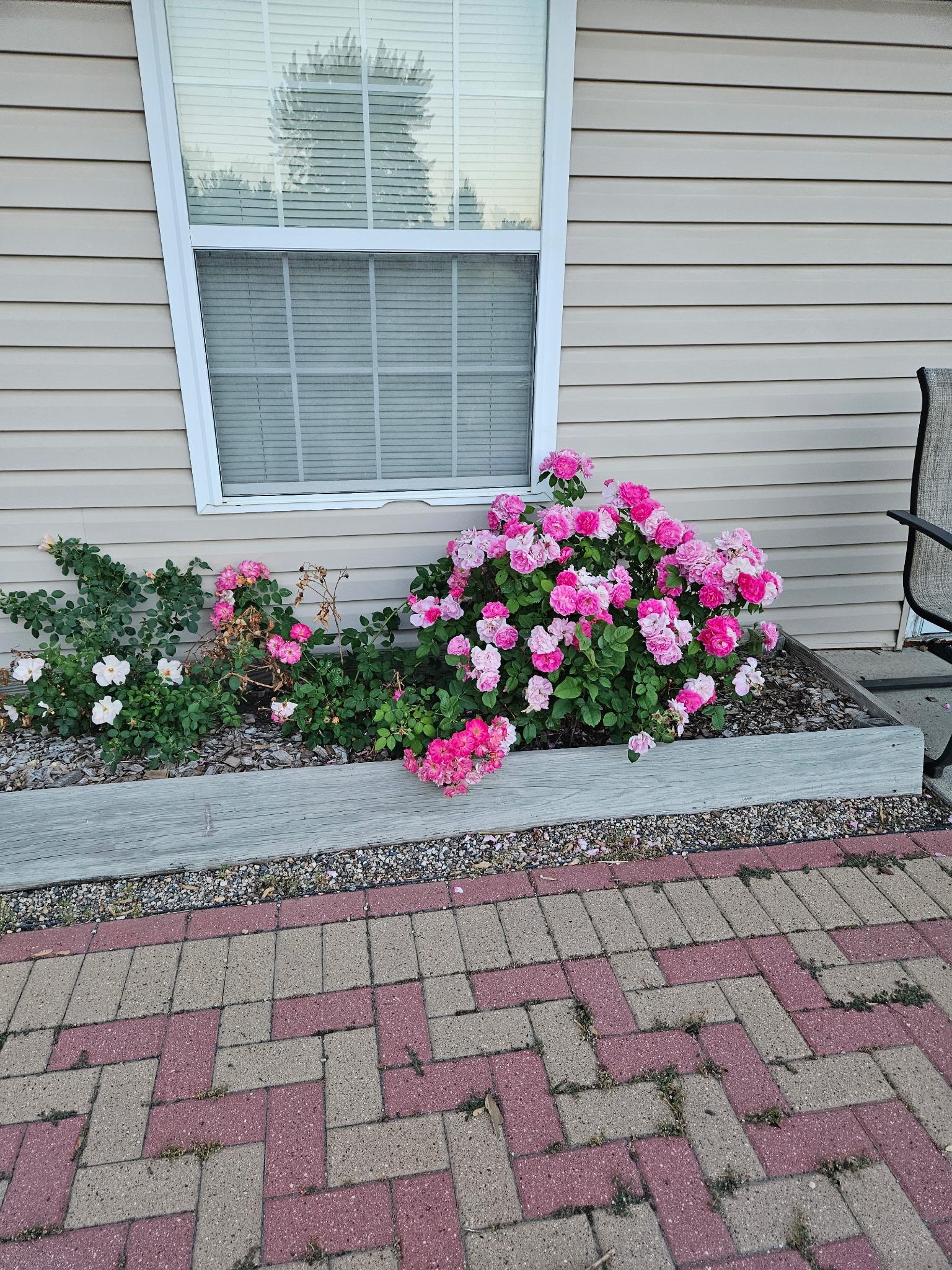 843 12 1/2 Avenue W, West Fargo ND 58078 - Photo 21 of 24