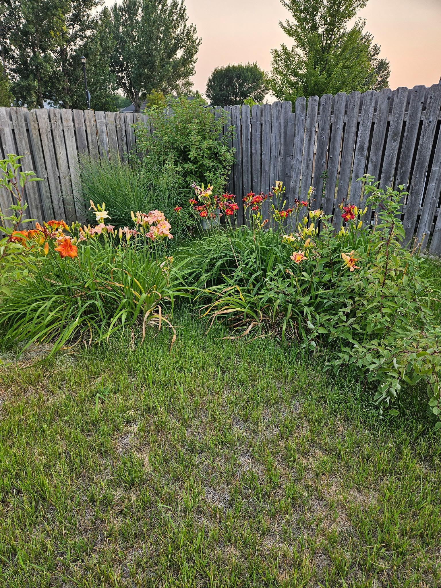 843 12 1/2 Avenue W, West Fargo ND 58078 - Photo 23 of 24