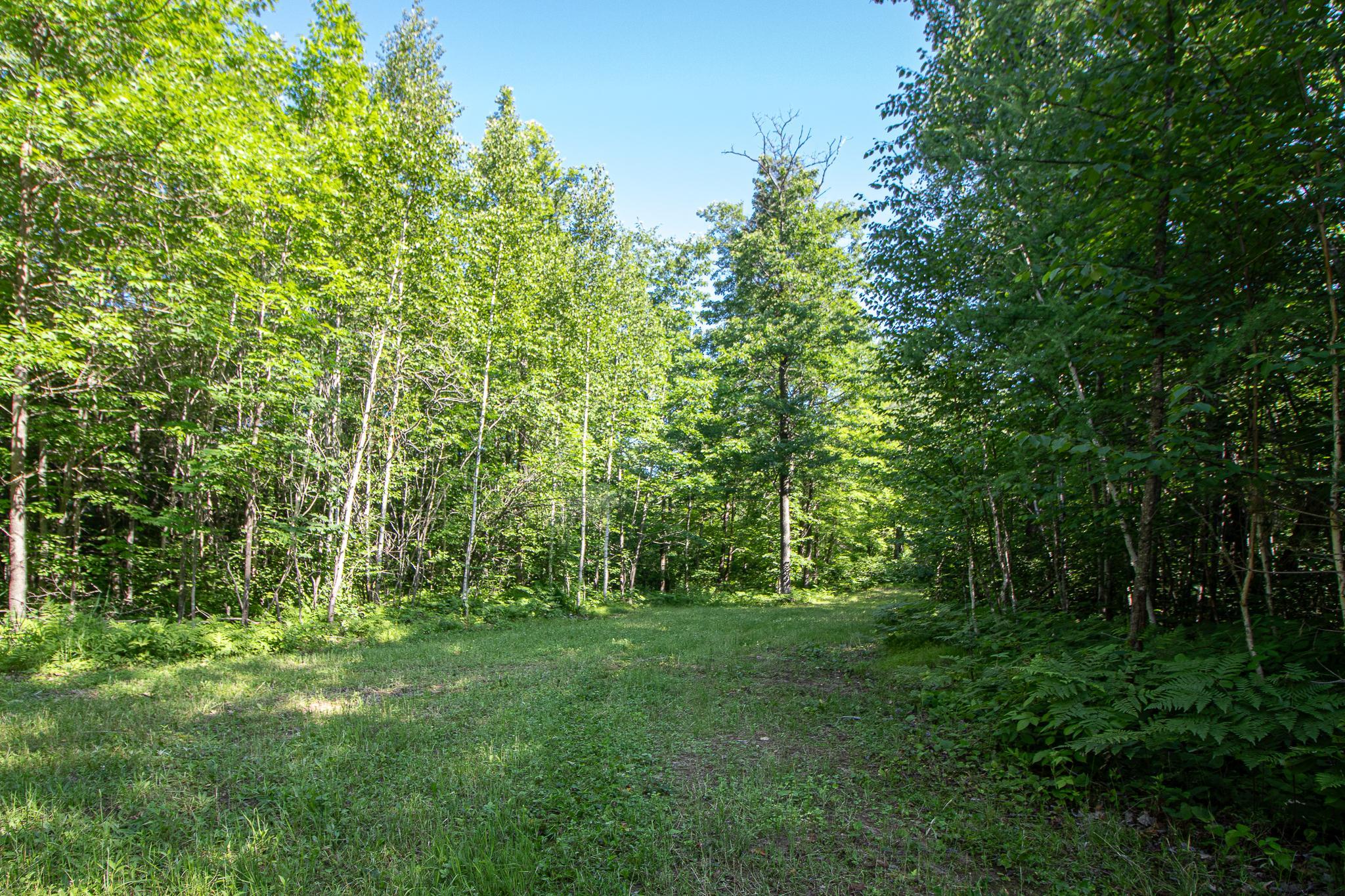 1655 Eastburn Road NE, Remer MN 56672 - Photo 20 of 61