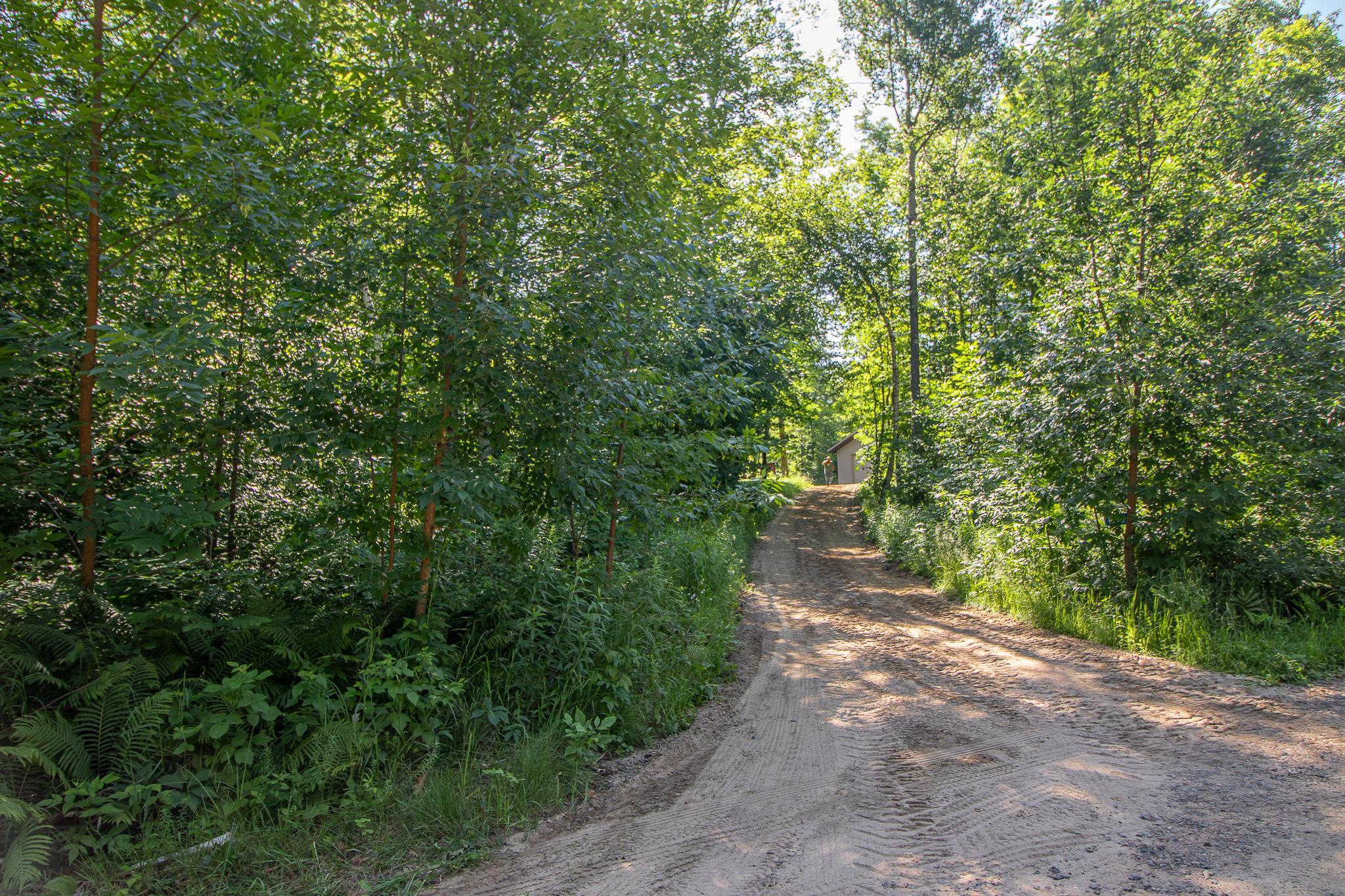 1655 Eastburn Road NE, Remer MN 56672 - Photo 22 of 61